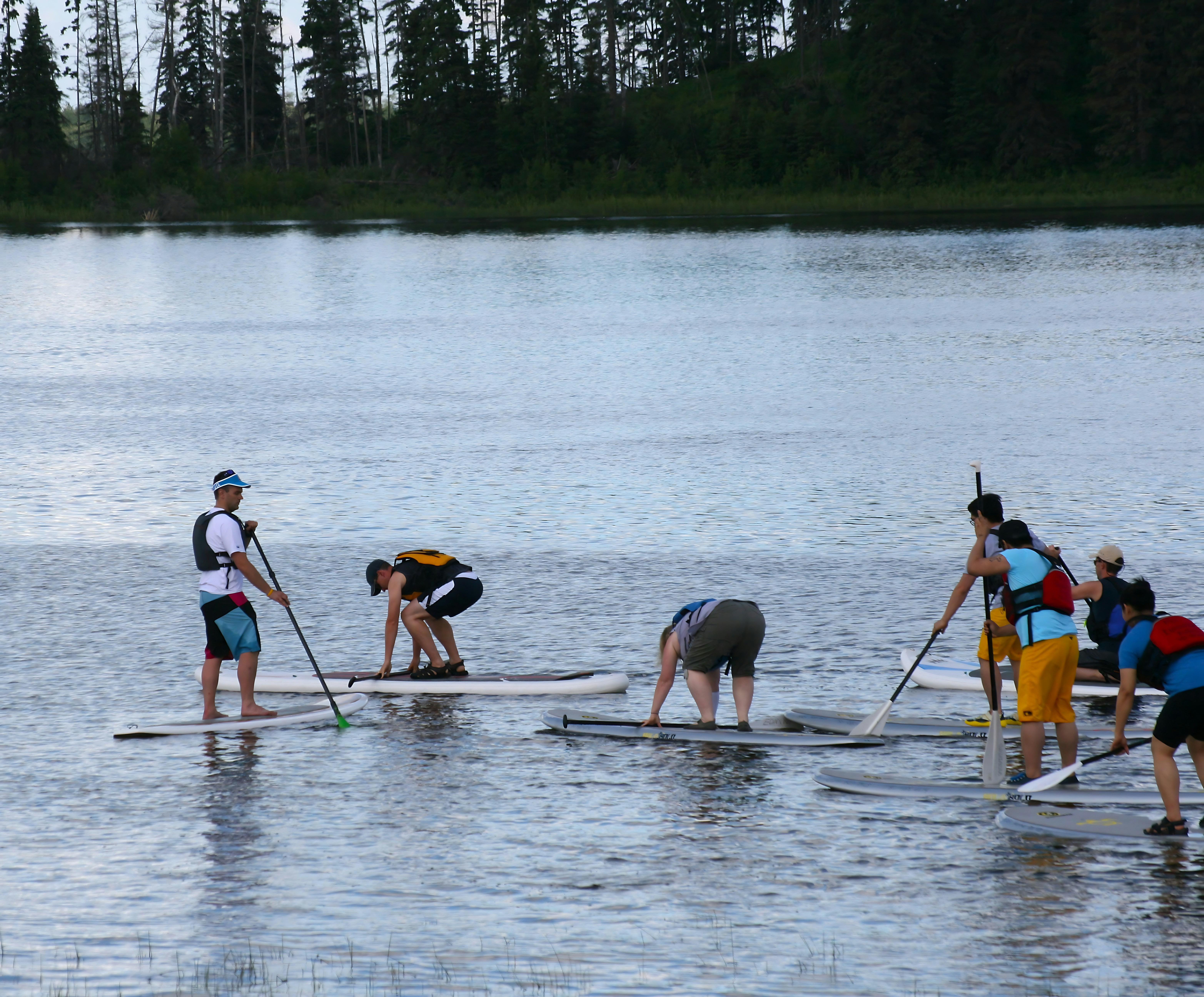 A group of people paddleboarding on a calm lake near a forested shoreline