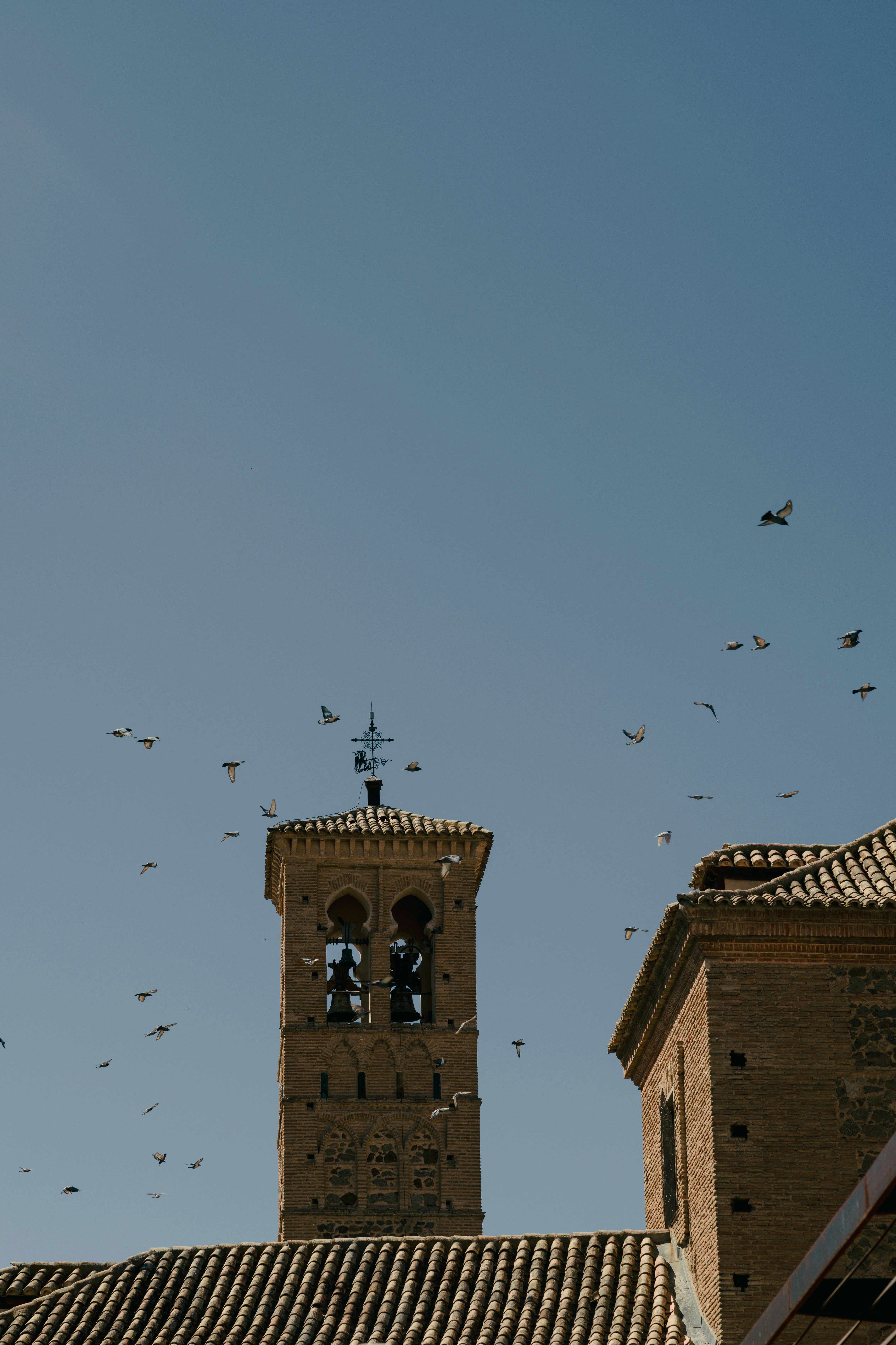 Birds flying around brick bell tower - Free Photo on Unsplash