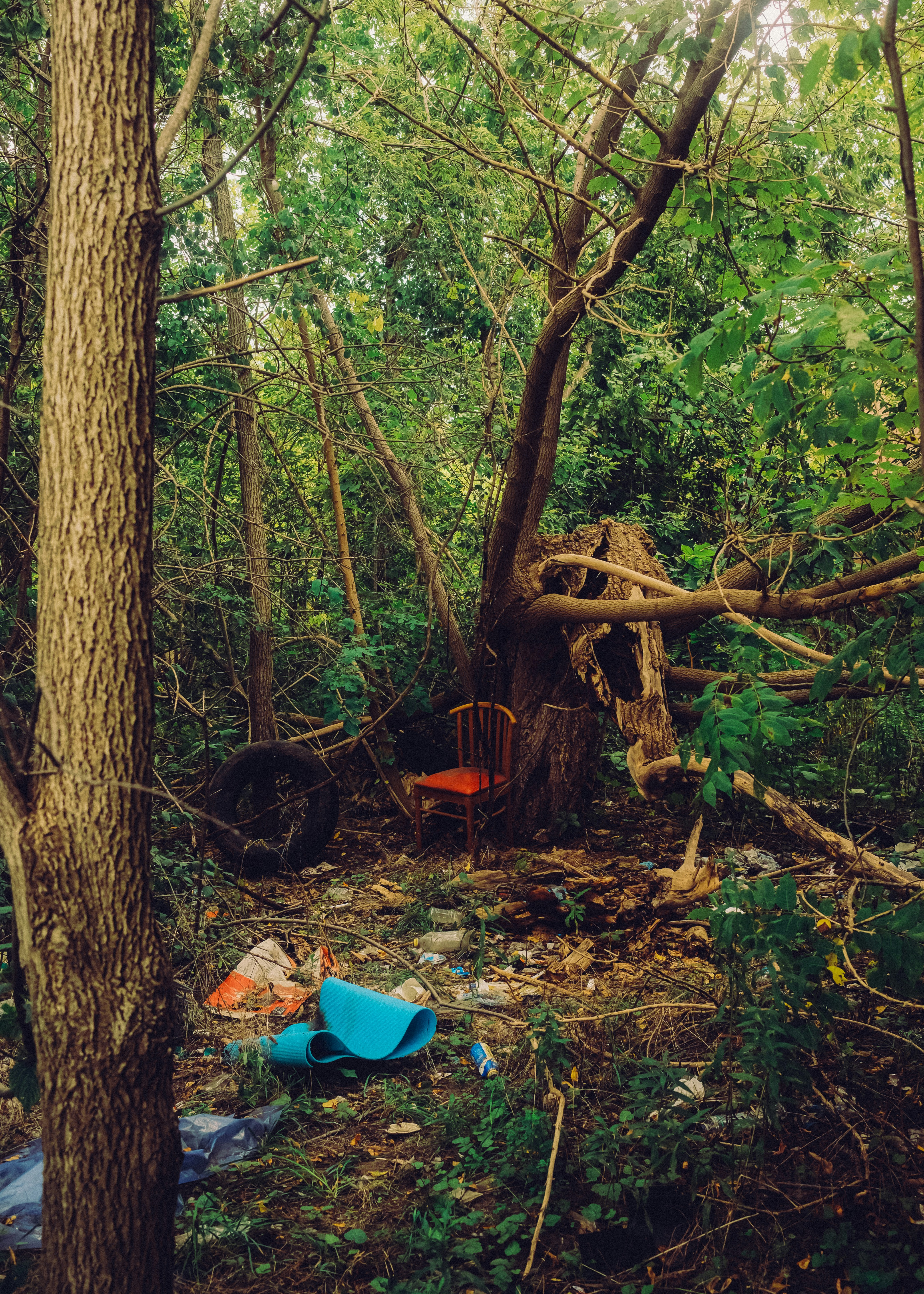 A wooden chair with a red seat in a forest clearing with scattered debris