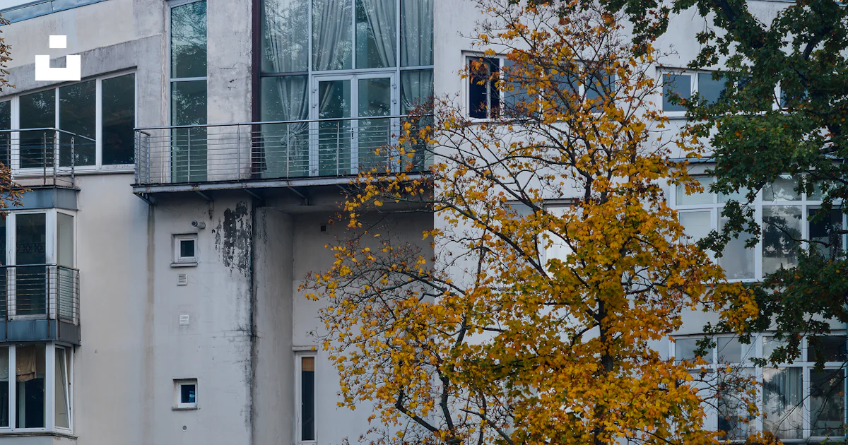 Stack Lev Menschen und Hund von Yellow Tree - Kostenloses Foto auf Unsplash