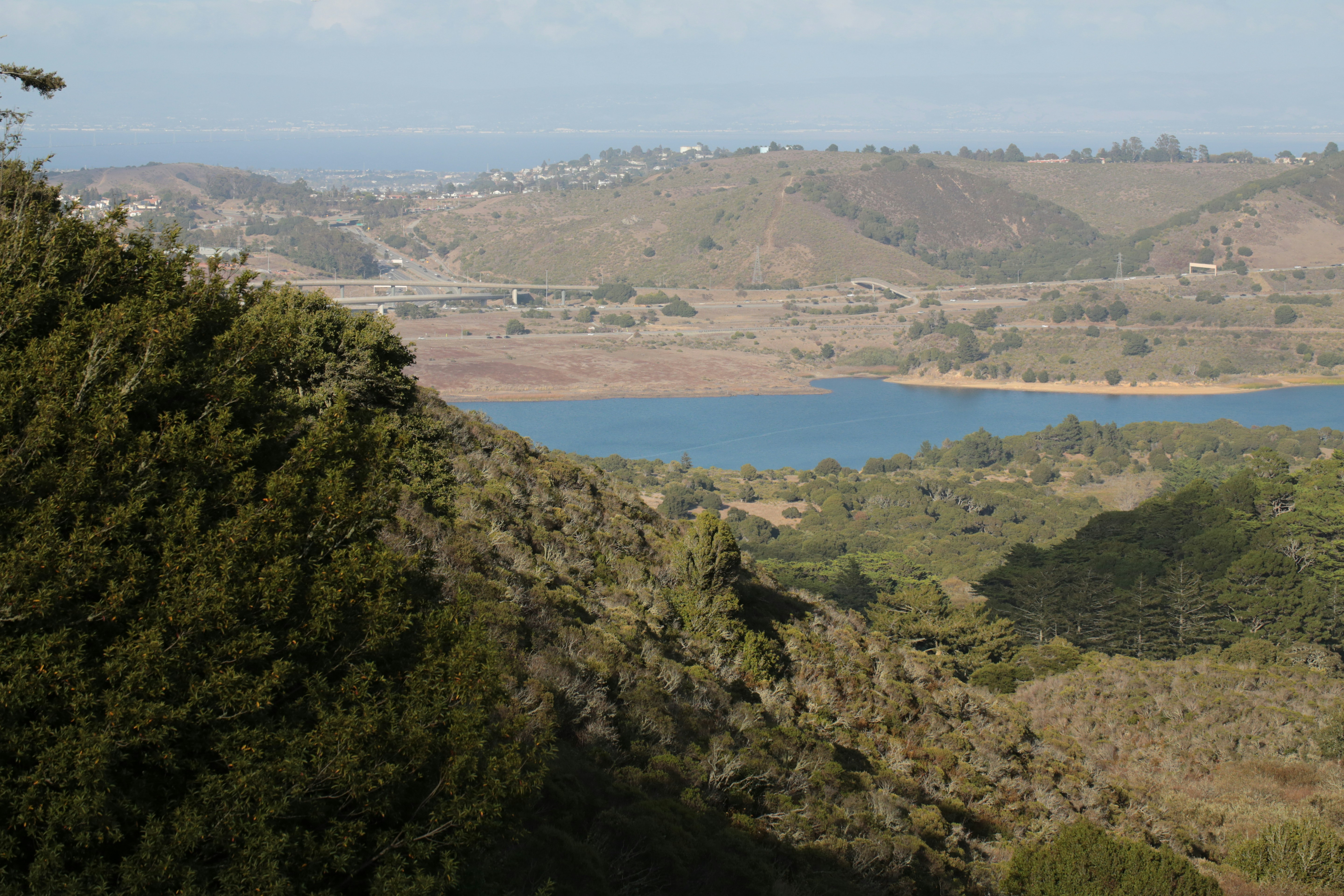 A blue reservoir surrounded by rolling hills covered in green shrubs and trees