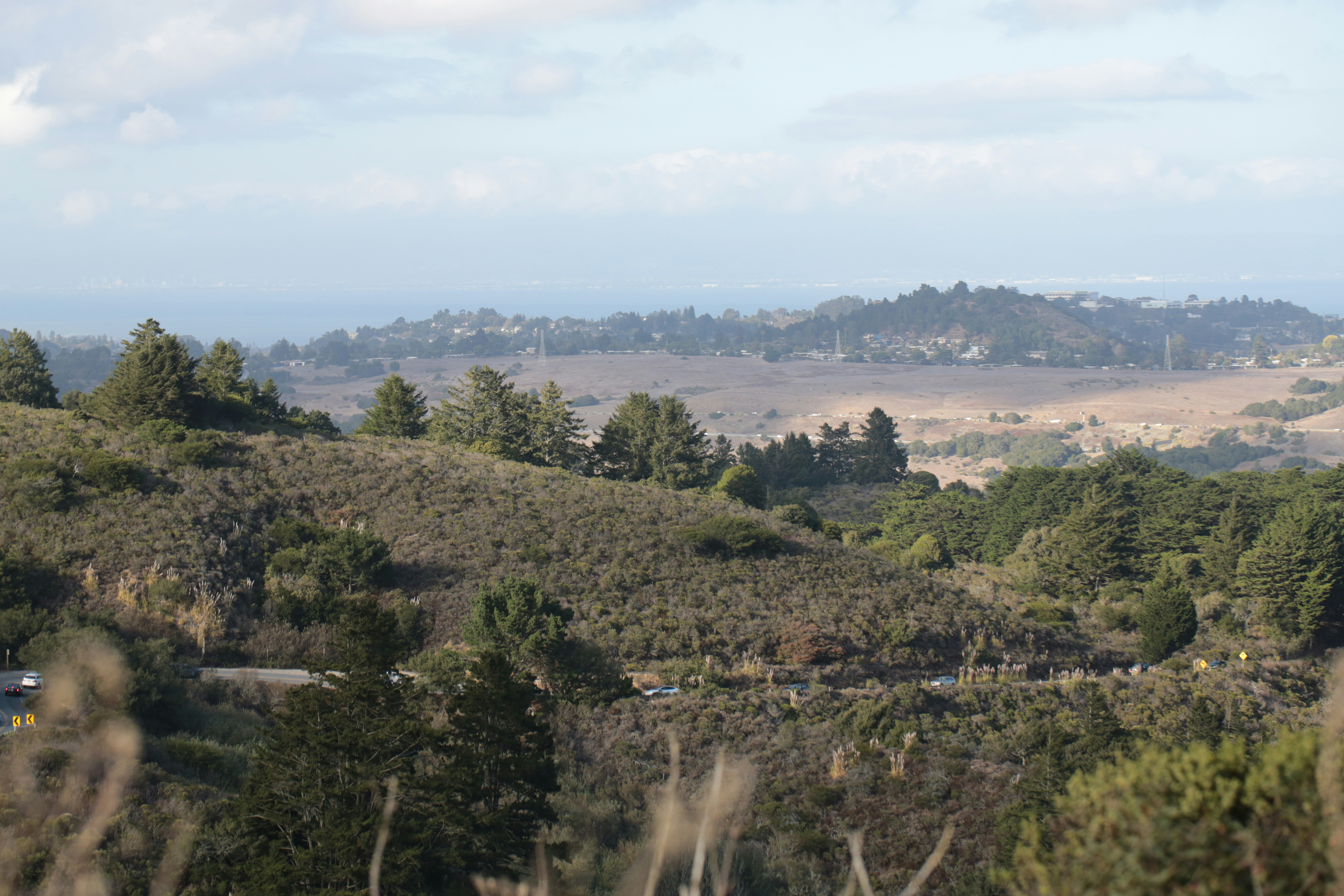 A winding road through rolling hills covered in shrubs and evergreen trees