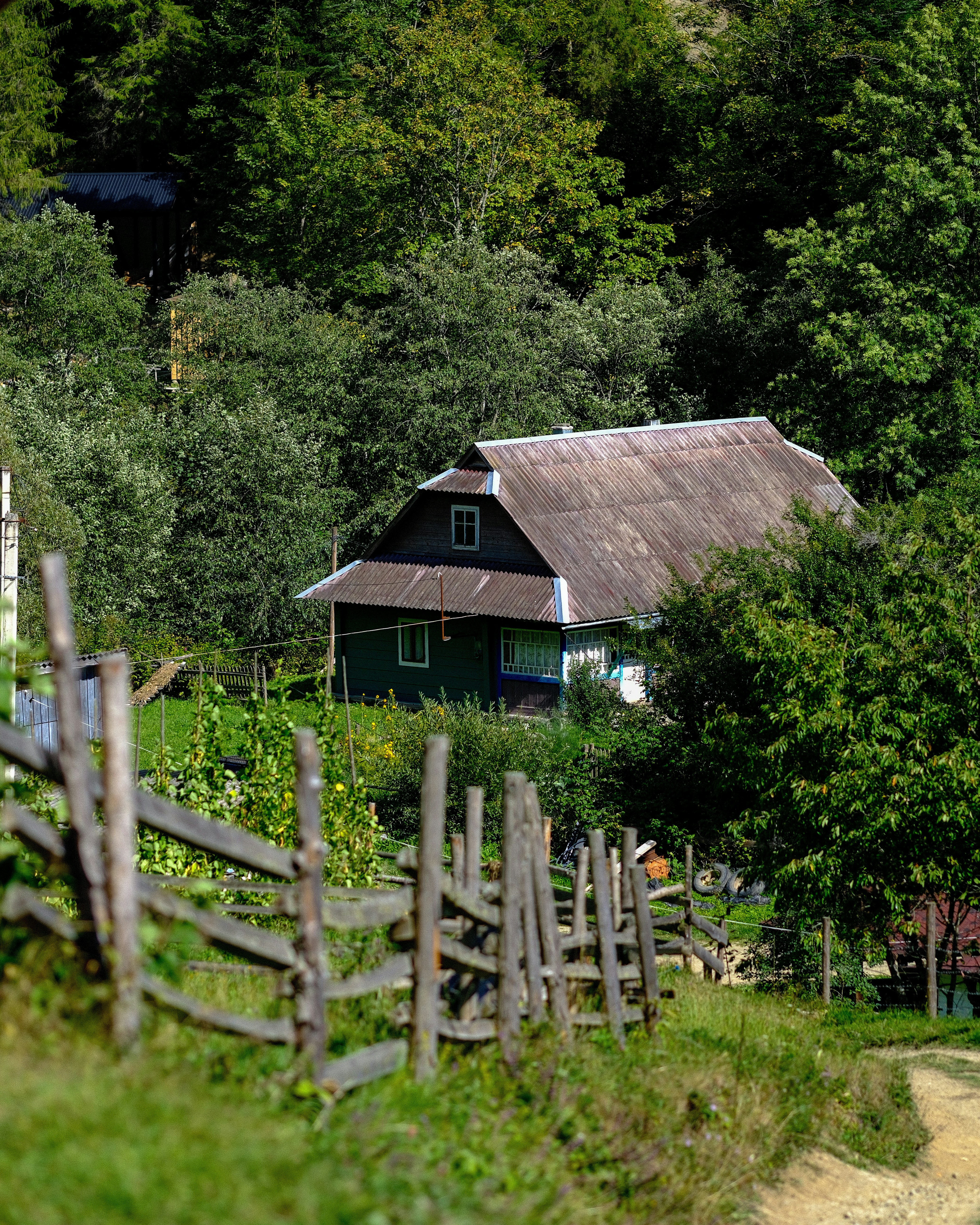 A wooden house with a corrugated roof nestled among dense green trees