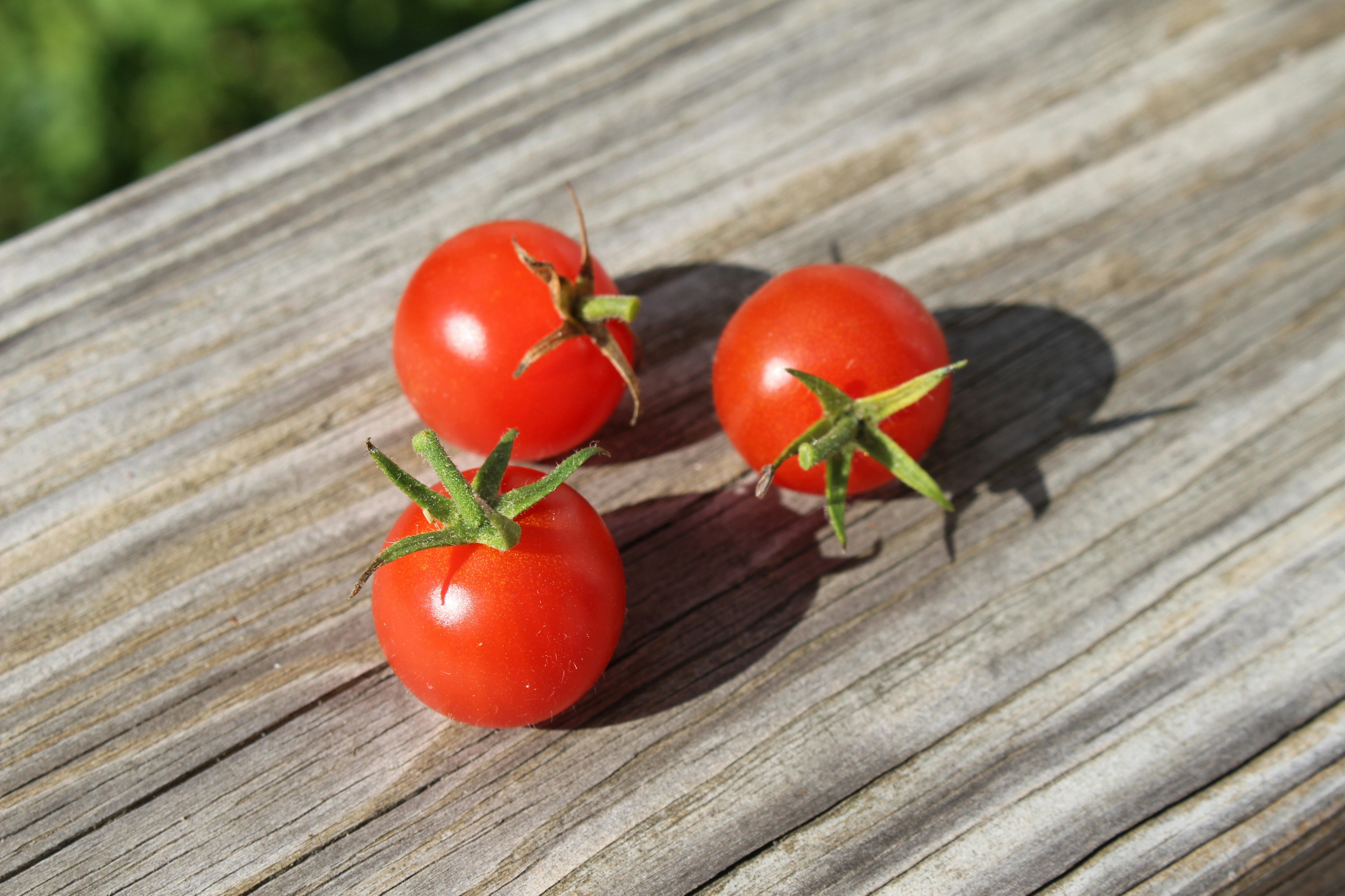 Three red cherry tomatoes with green stems on a weathered wooden surface