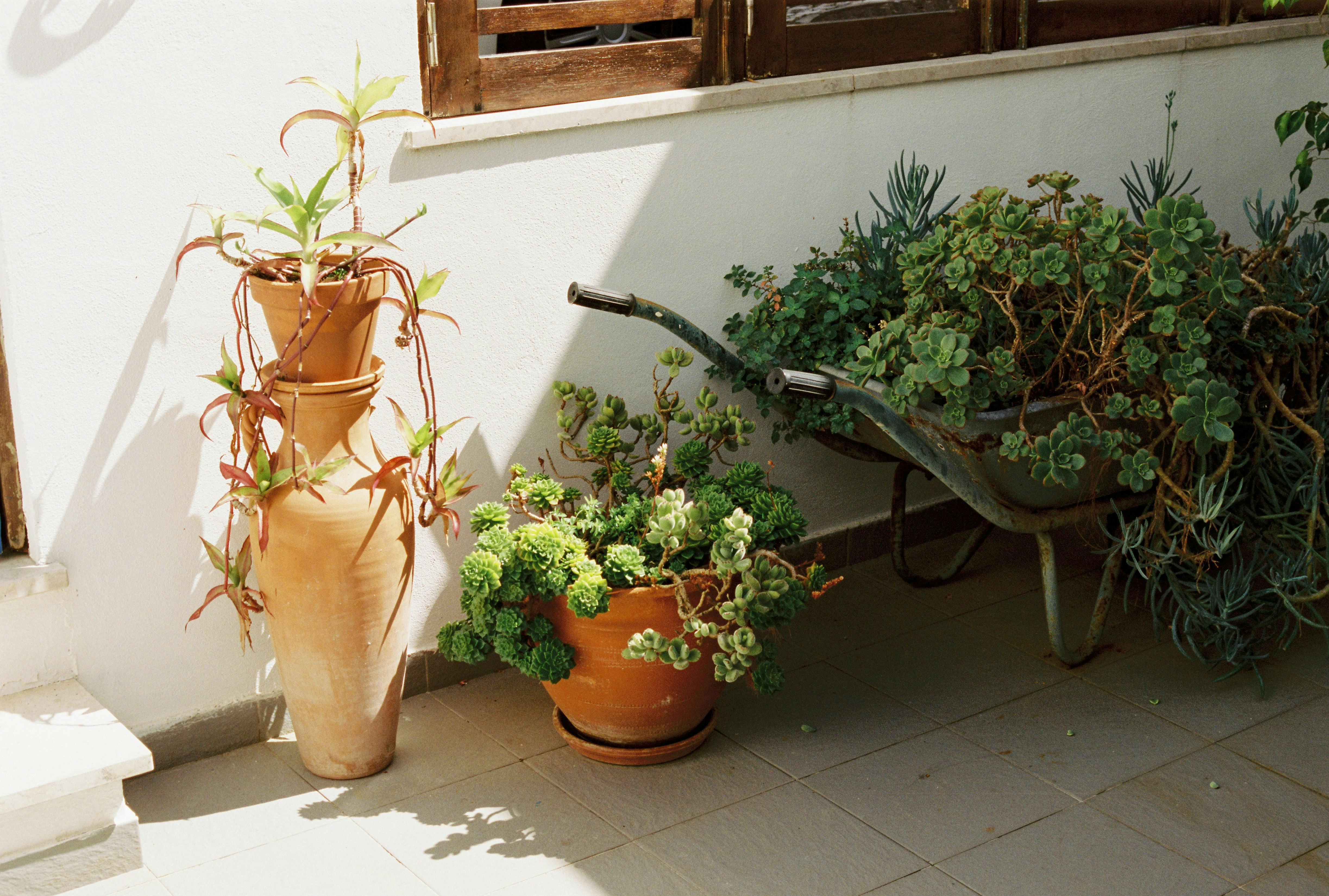 small traditional patio garden, wallpaper, Traditional Outdoor Patio for Small Spaces: Ideas & Design 6