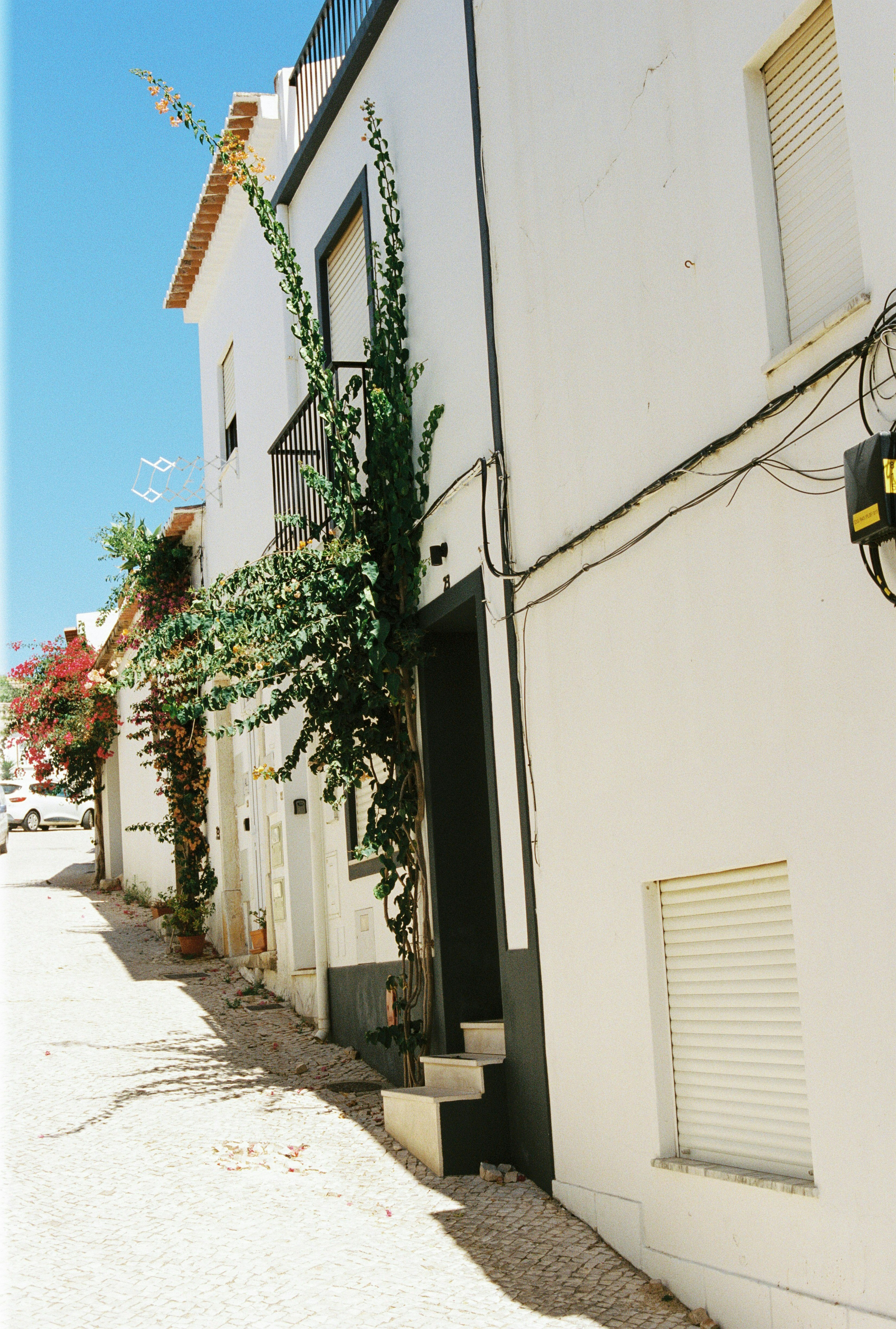 A whitewashed house shaded by a vine growing over its terrace.