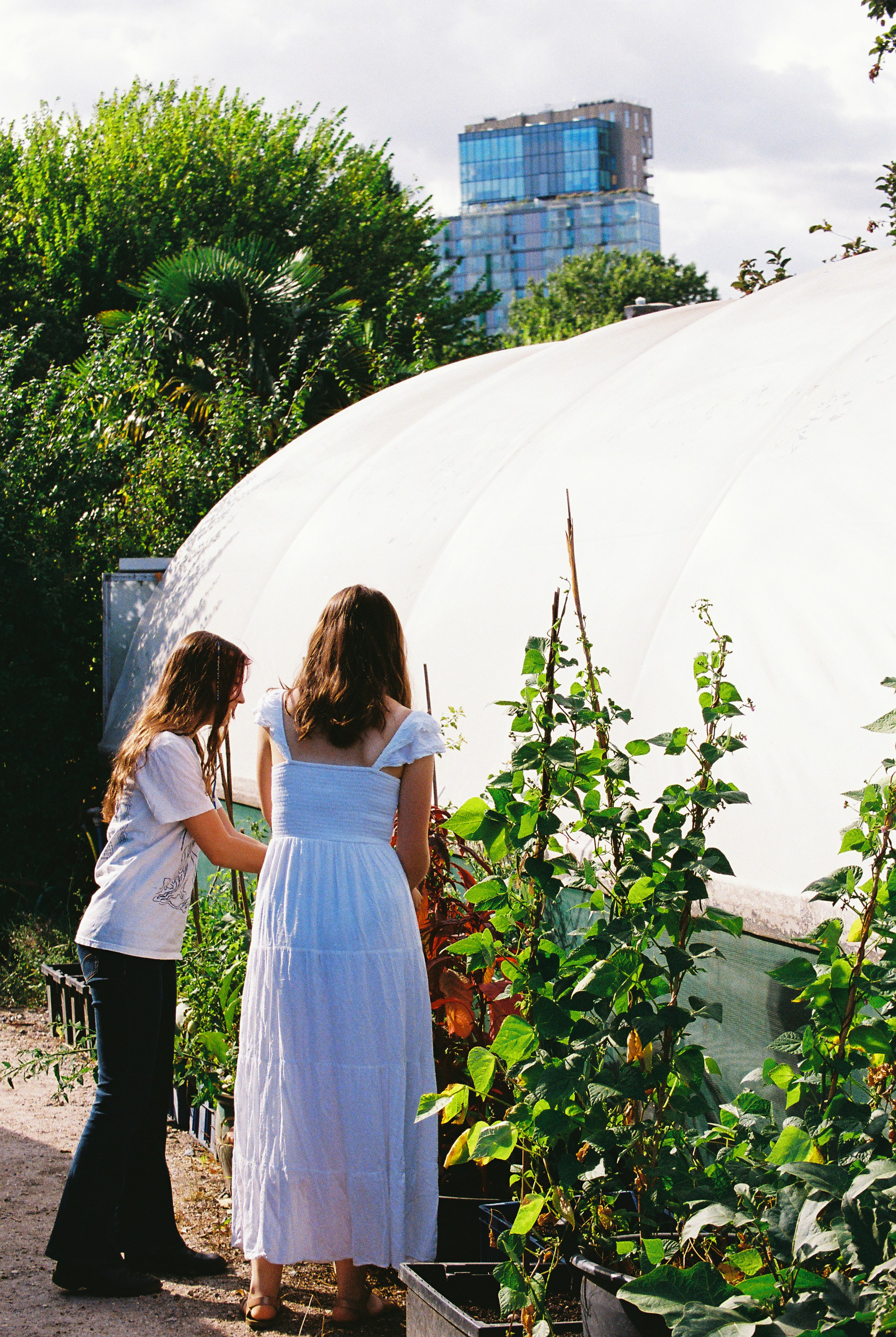 Two people tending plants beside a large white polytunnel with a glass tower behind