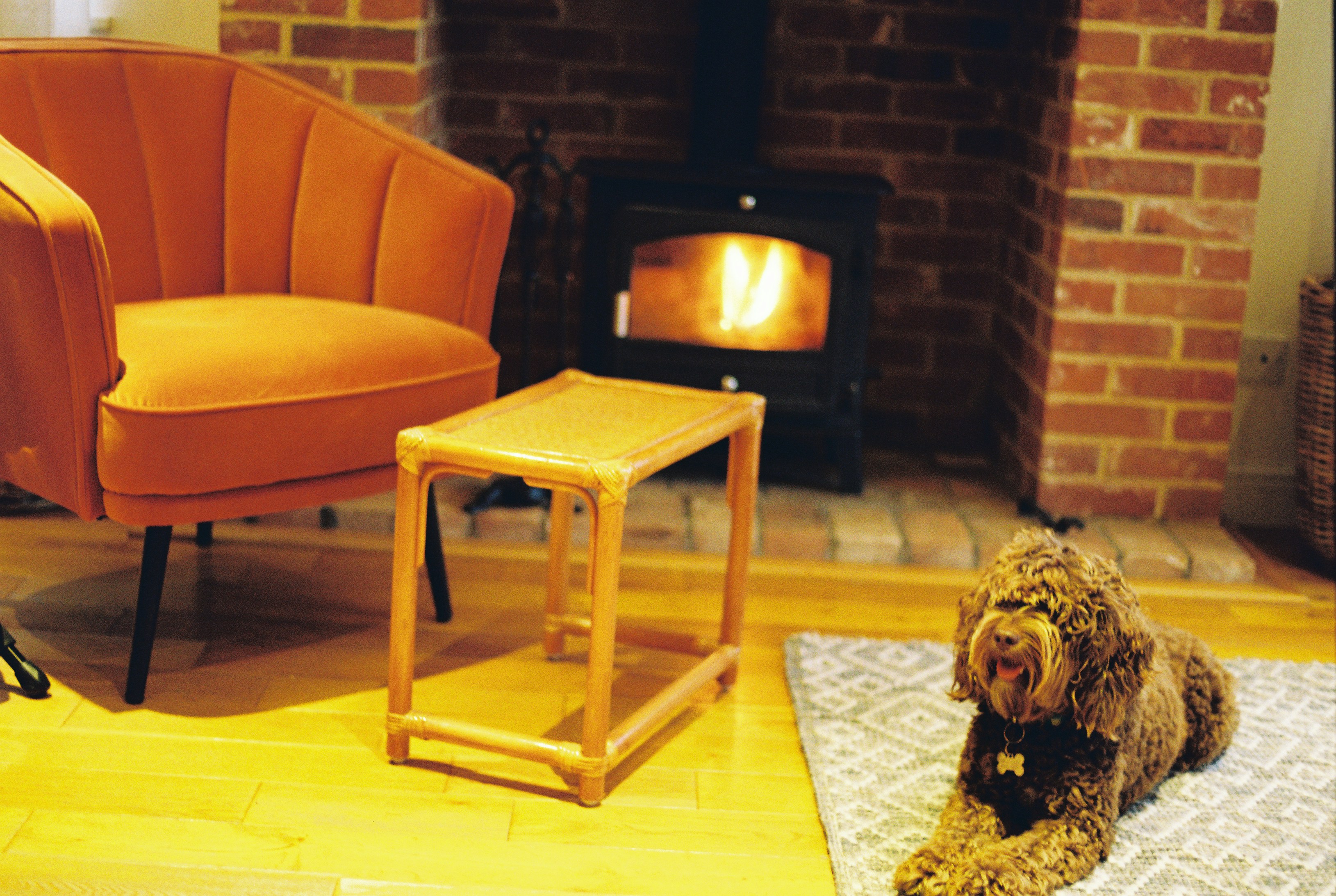 Curly-haired dog lying beside a wood heater