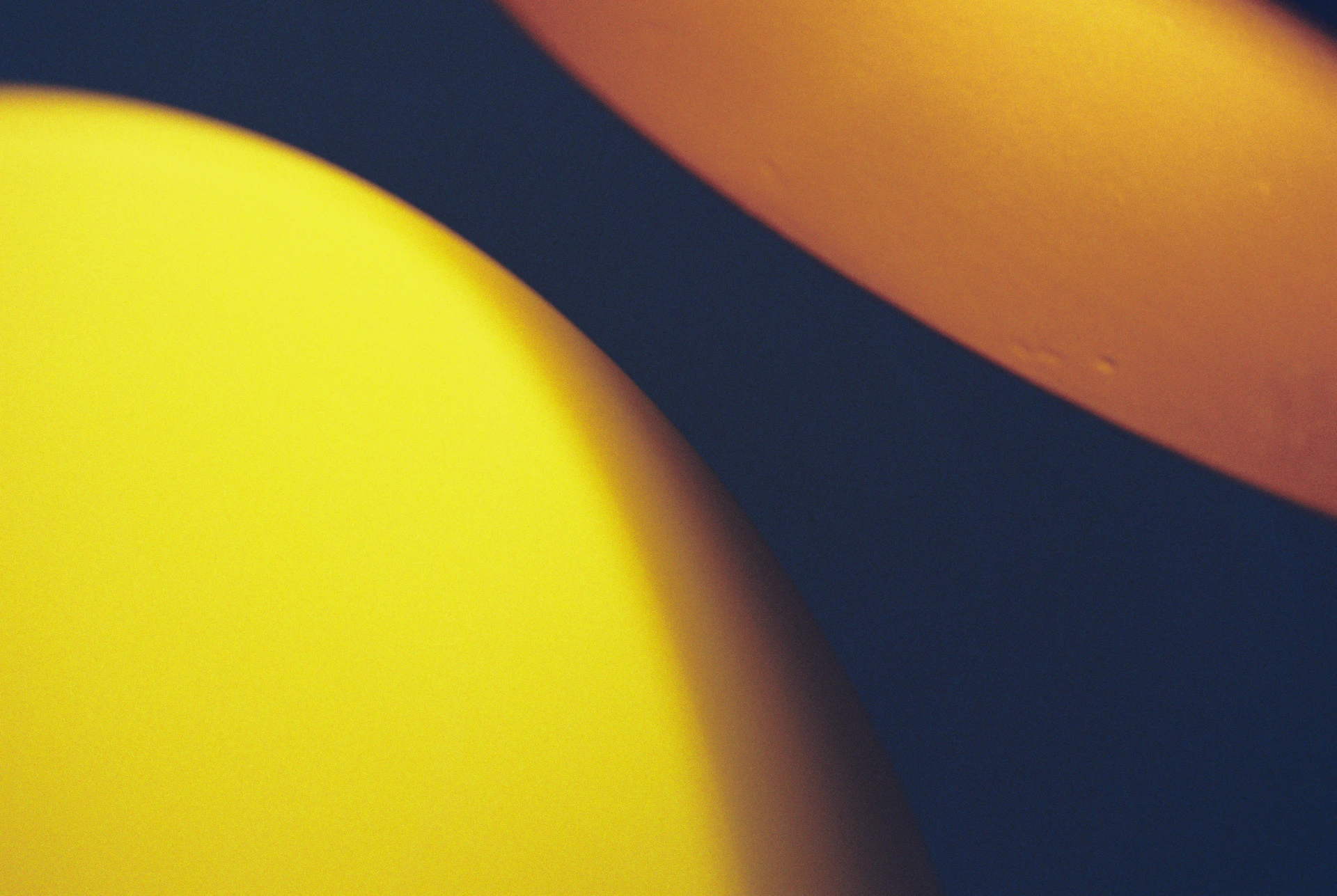 Bold curved shapes in yellow and burnt orange against a deep navy background