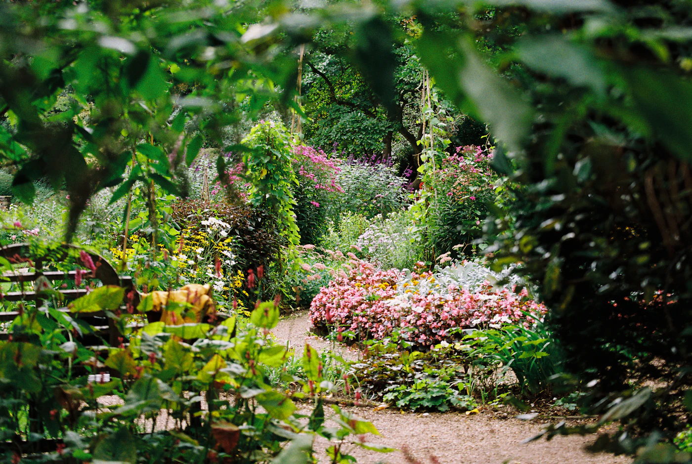Alles voor Tuin