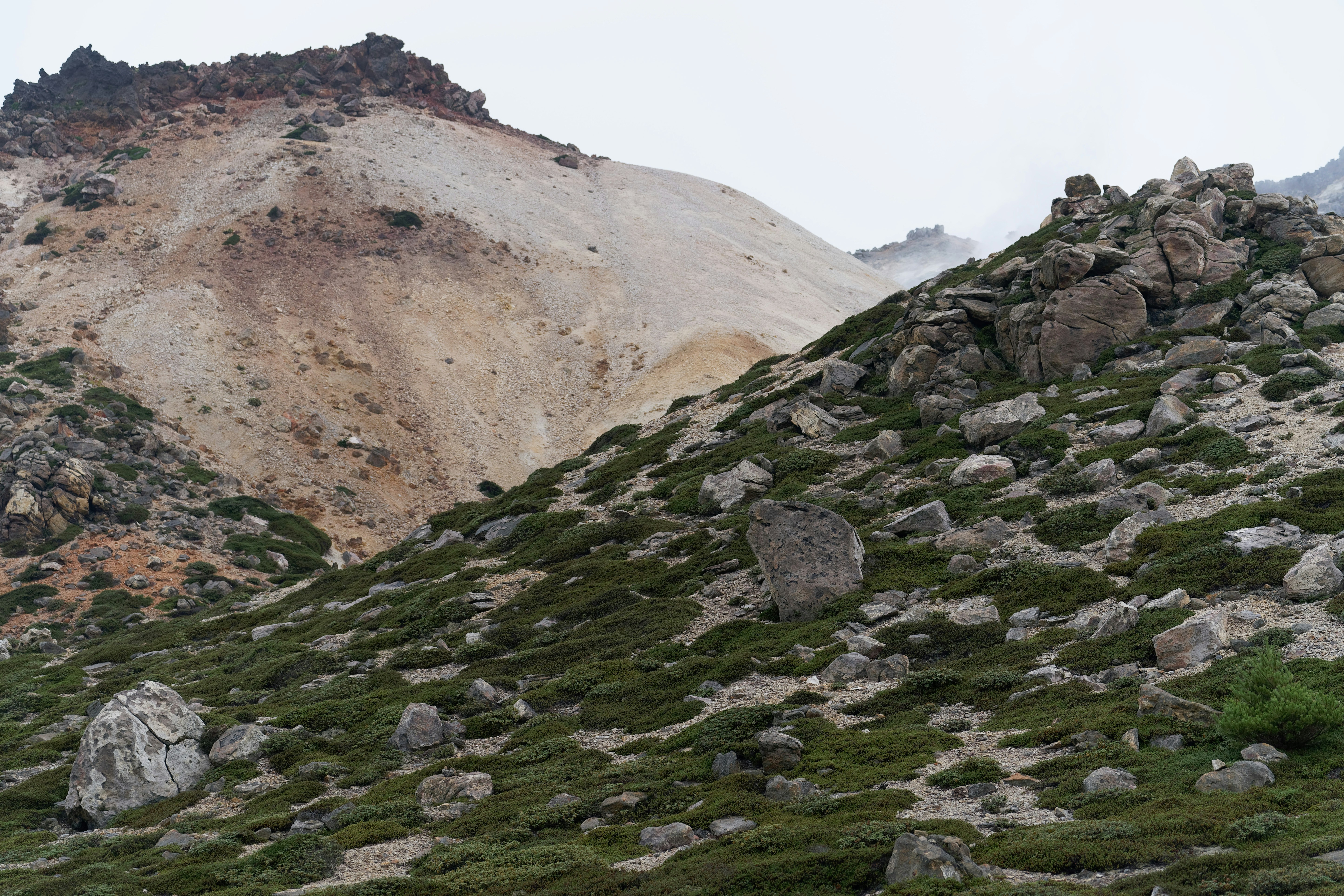 A rocky mountain slope with patches of green vegetation and volcanic soil