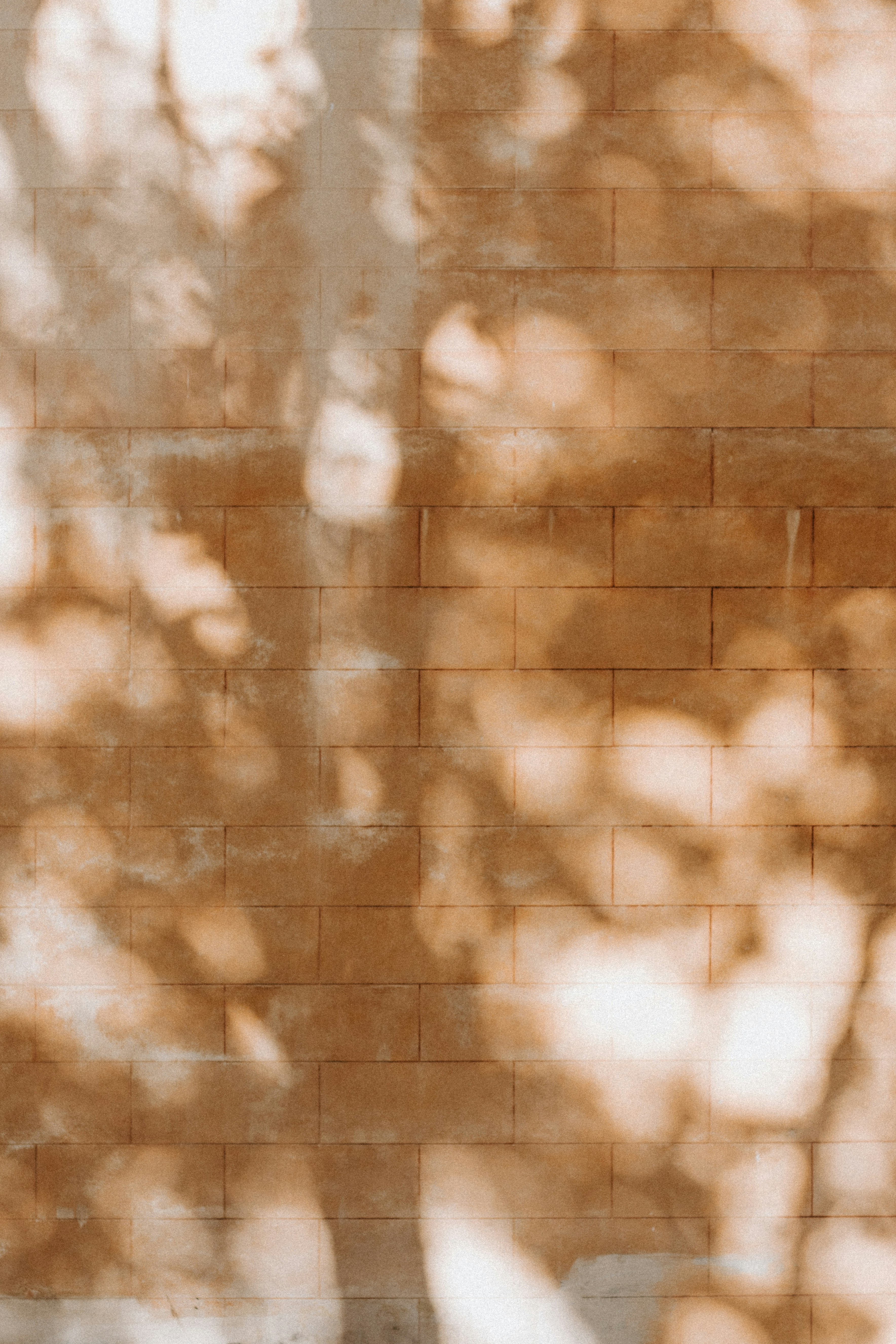 Soft dappled light and shadows of leaves on a brown brick wall