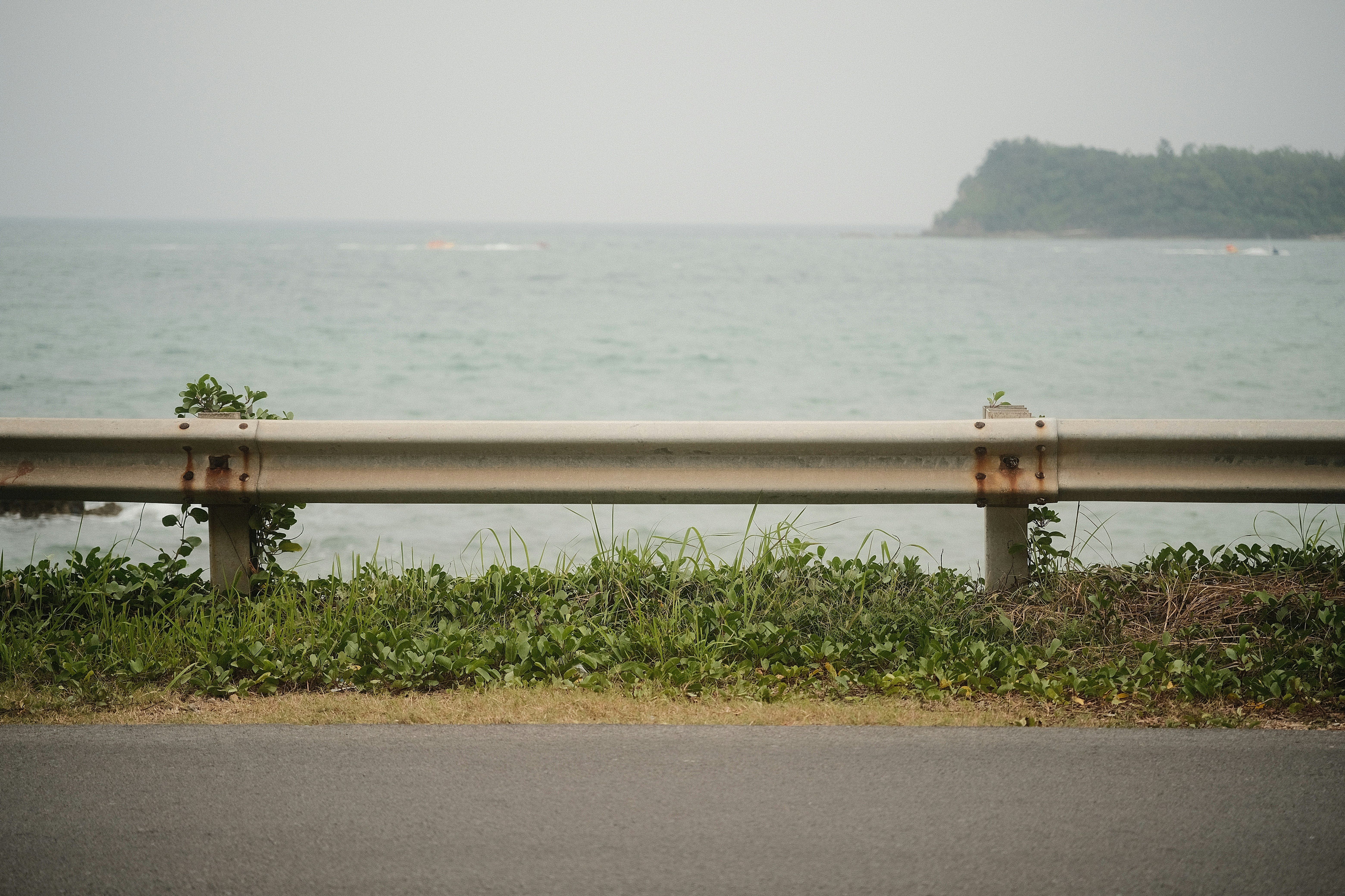 A metal guardrail along a coastal road with green vegetation and the ocean