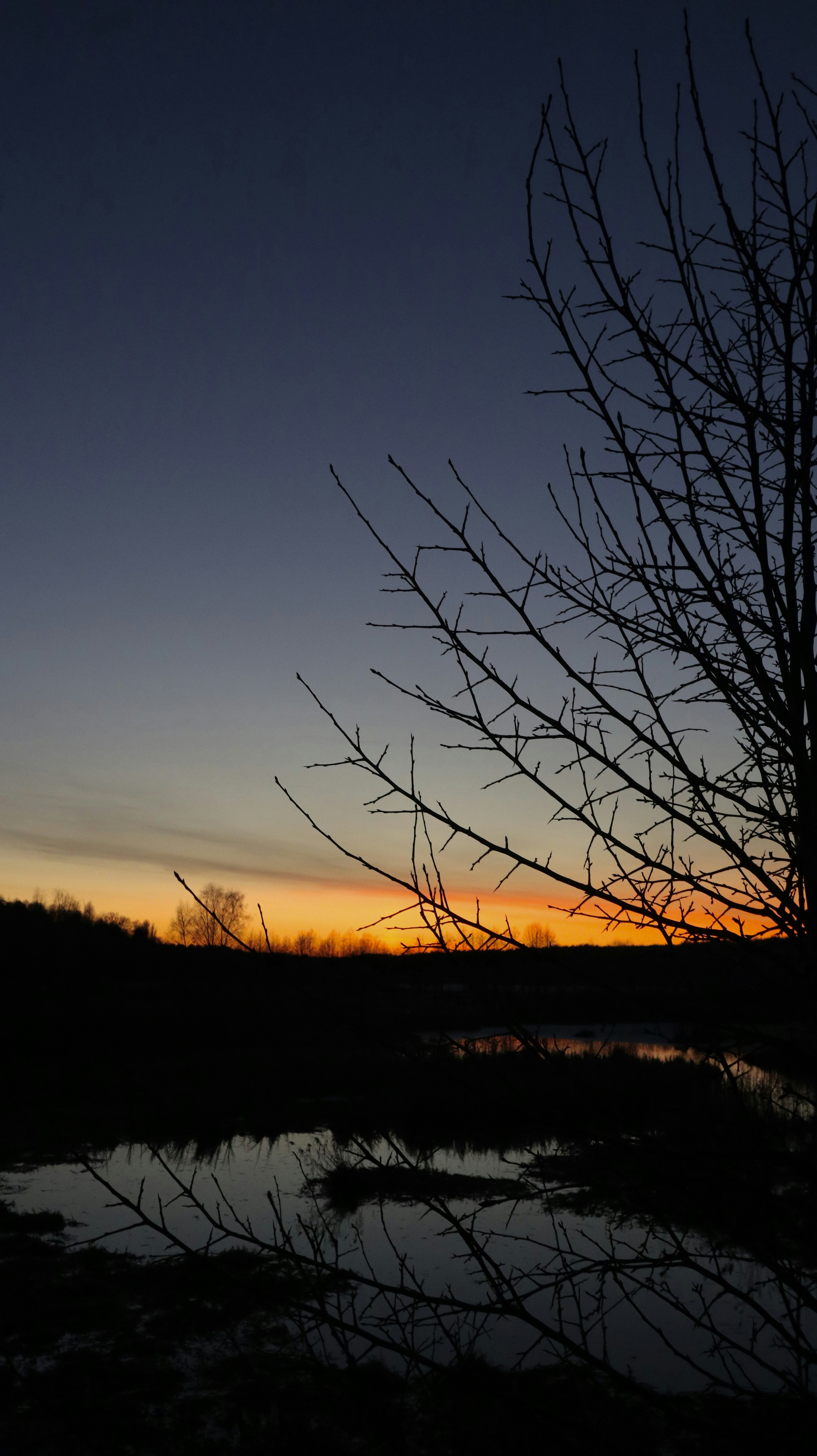 Sunset on the outskirts of Kyiv.