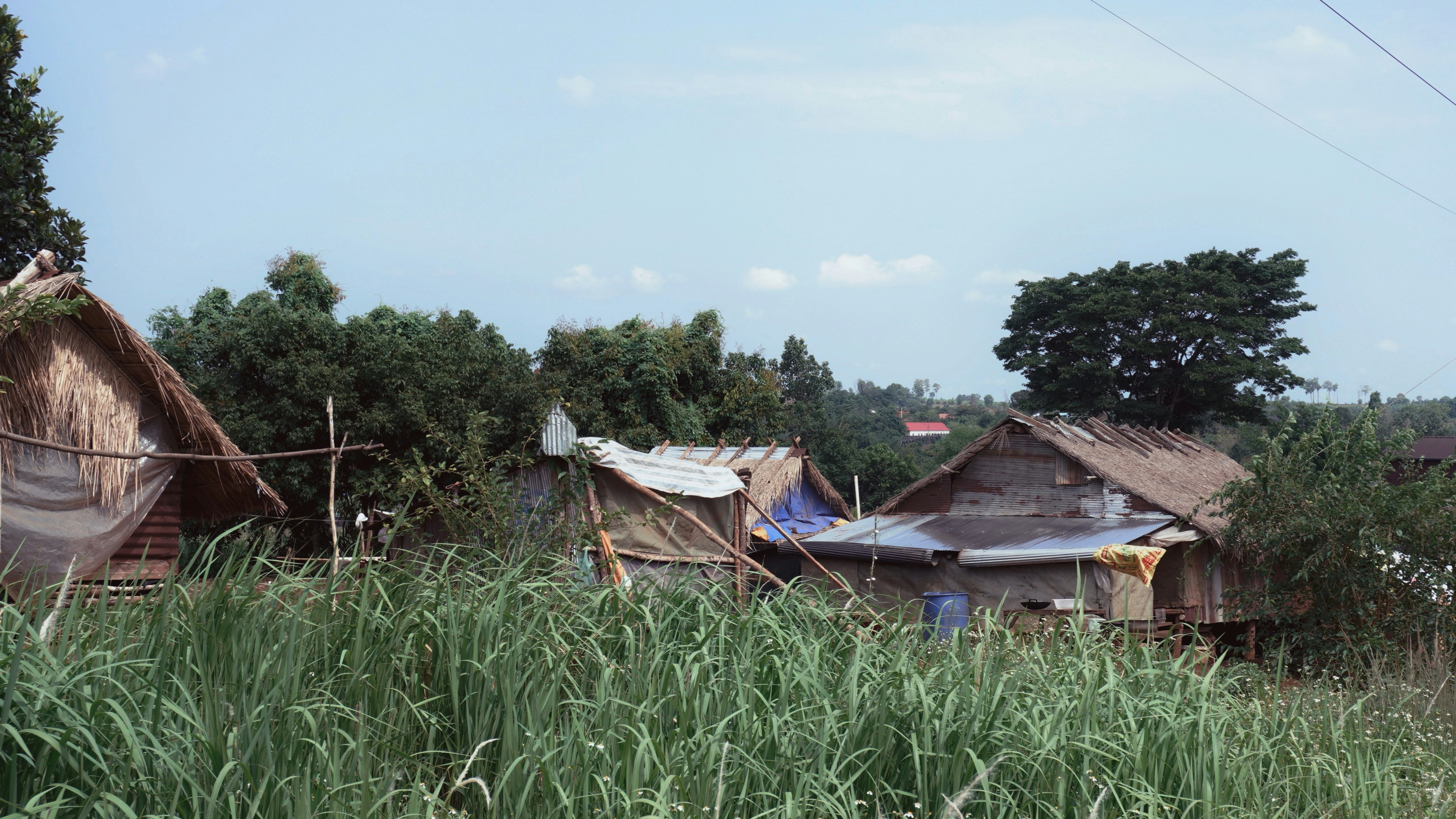 Small huts with thatched roofs nestled among tall green grass and trees