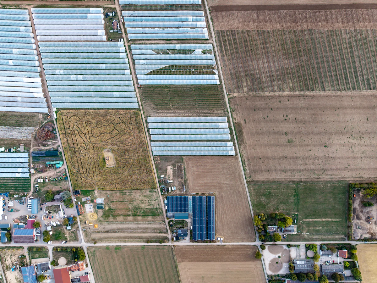Greenhouse complex, phase I