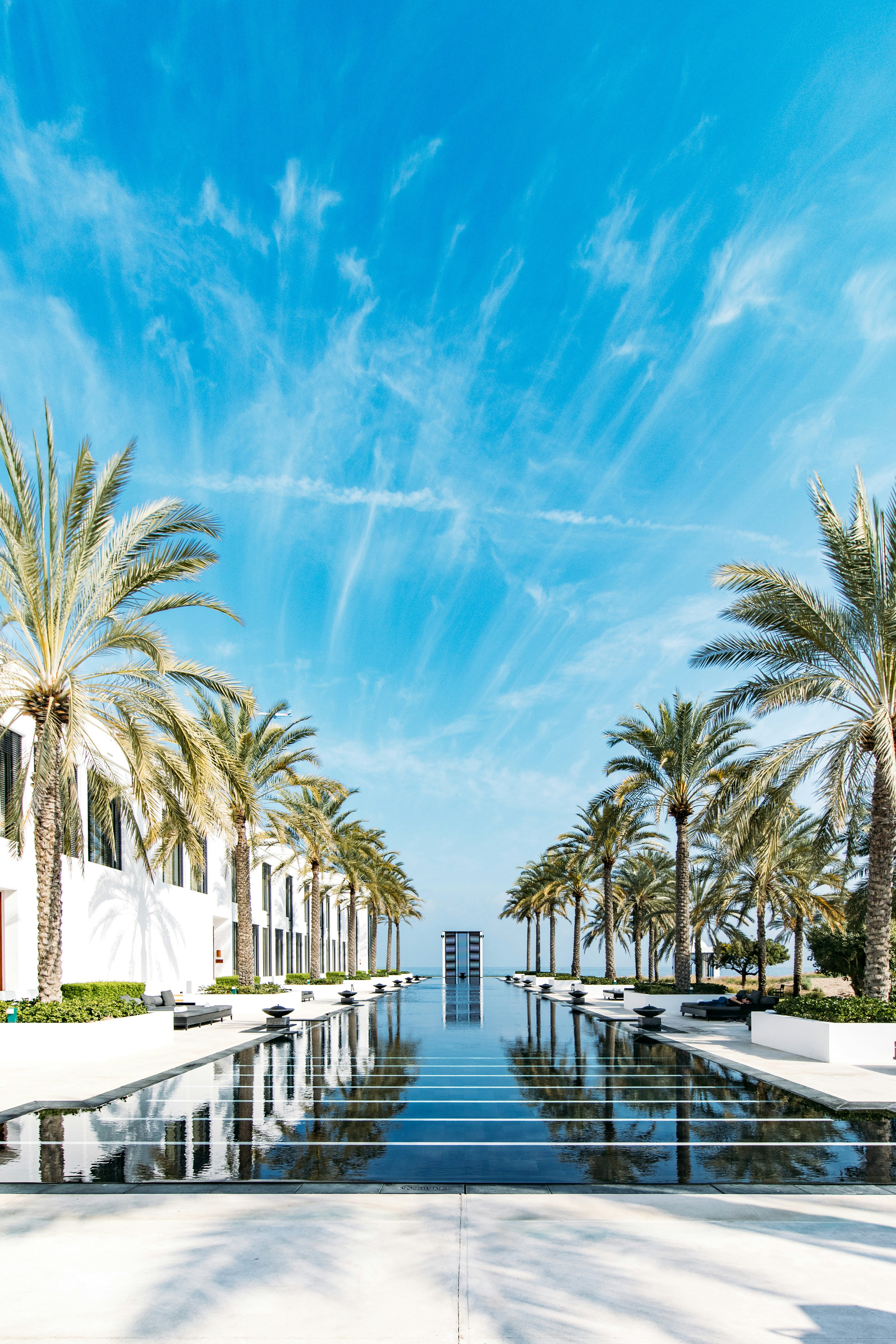 A long reflecting pool lined with palm trees and white buildings under a blue sky