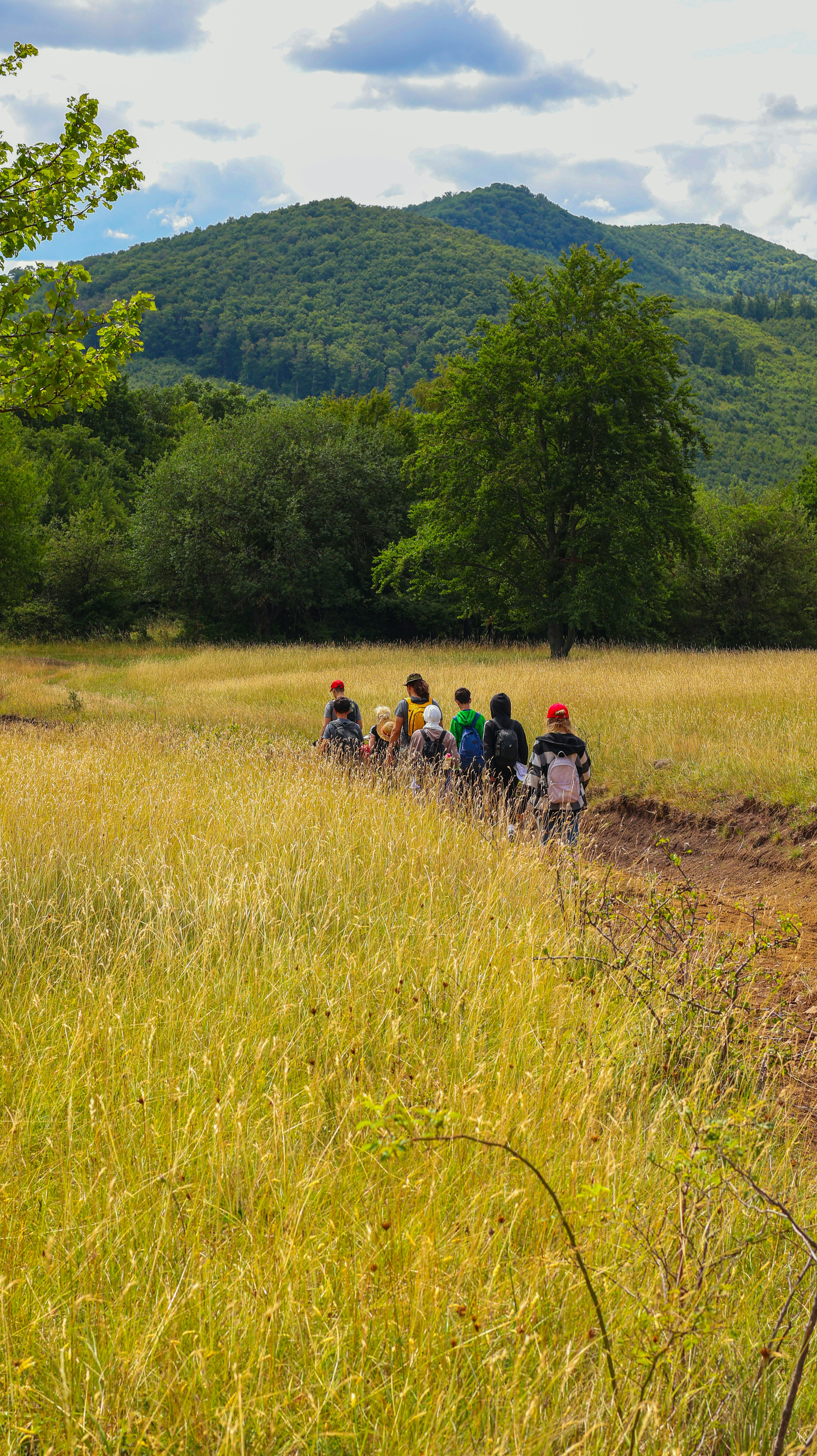 Groupe de marcheurs traversant les prairies de la vallée