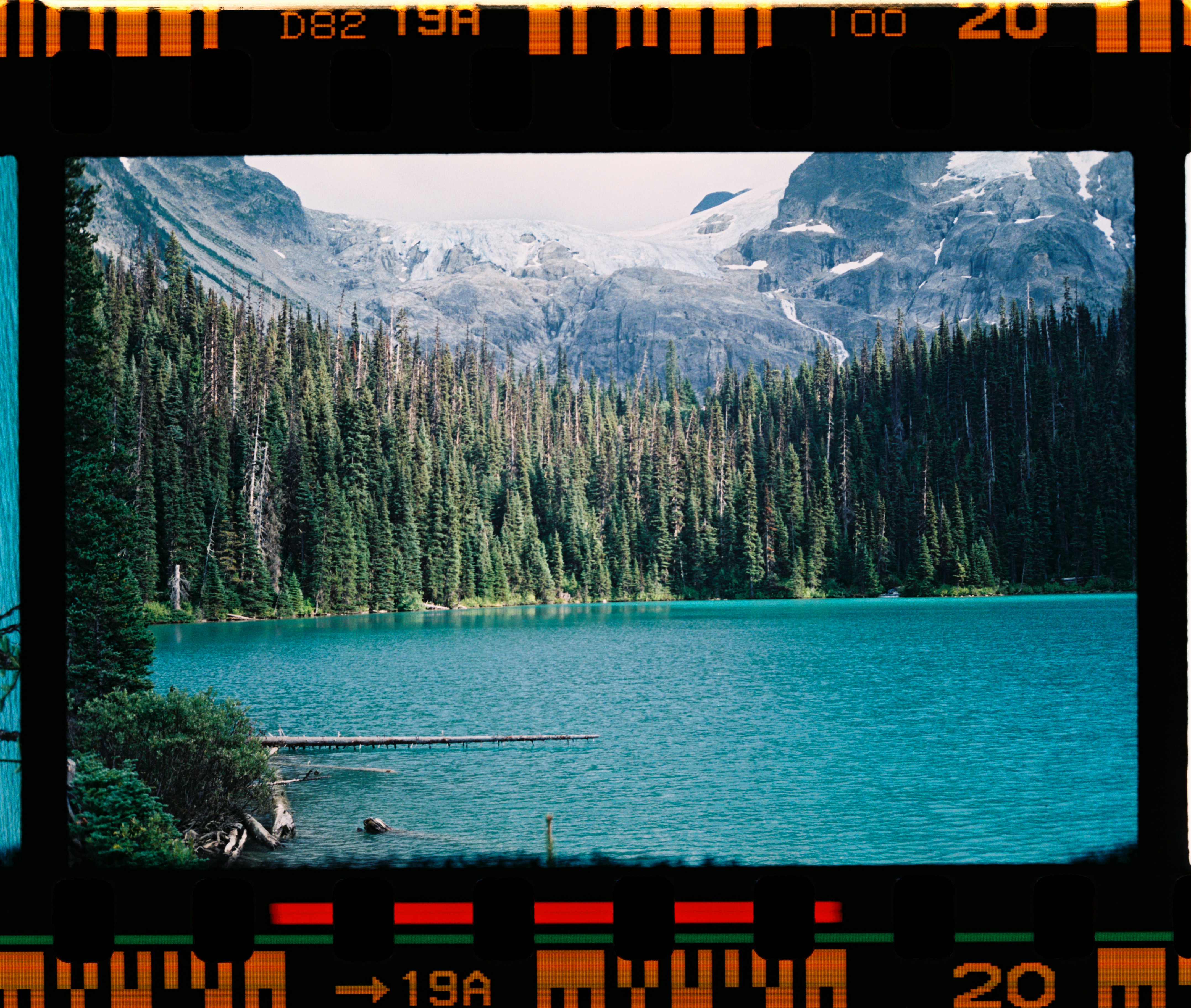 A turquoise lake surrounded by dense pine forest below a snow-capped mountain range