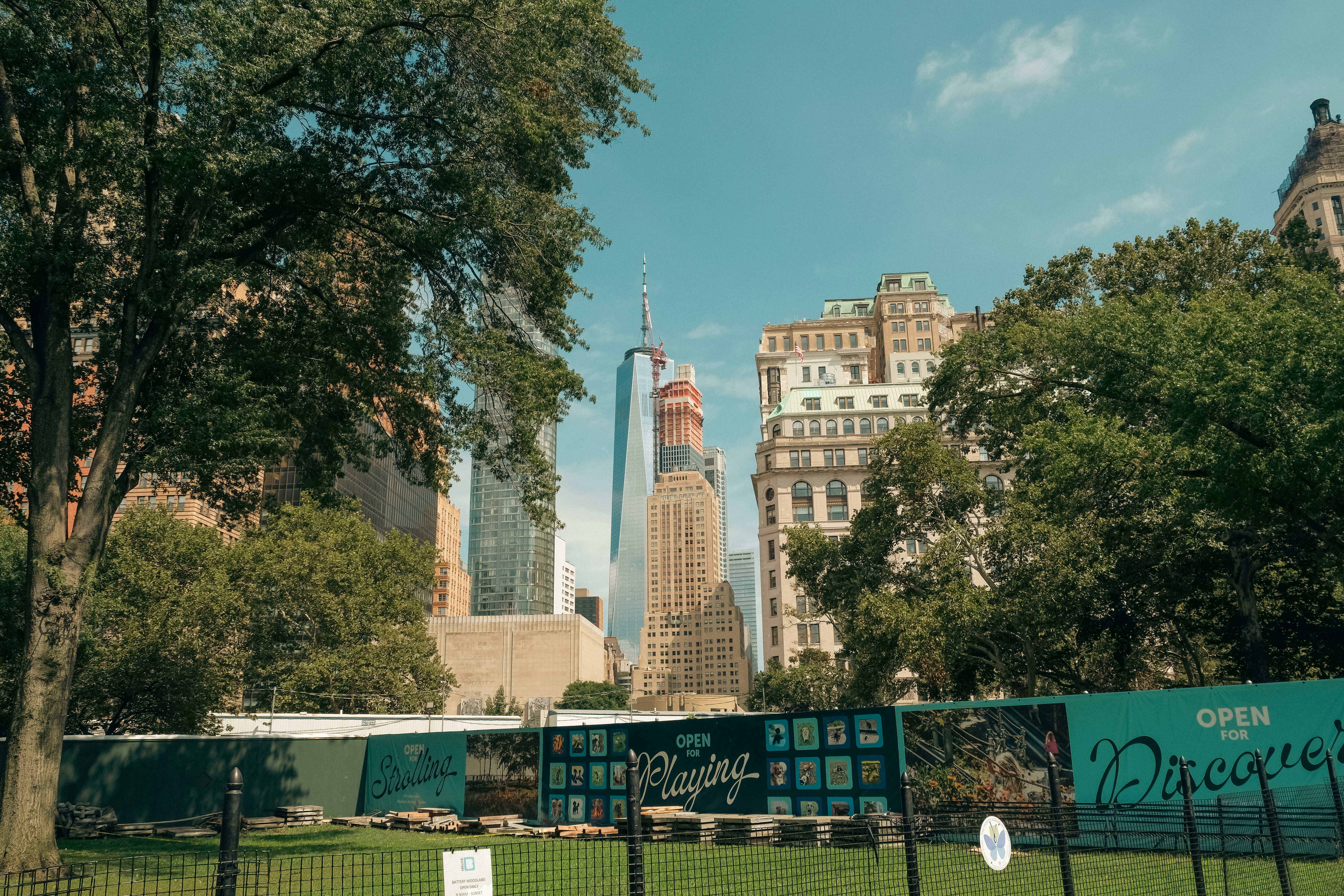 One World Trade Center rising above trees and a construction fence in New York City