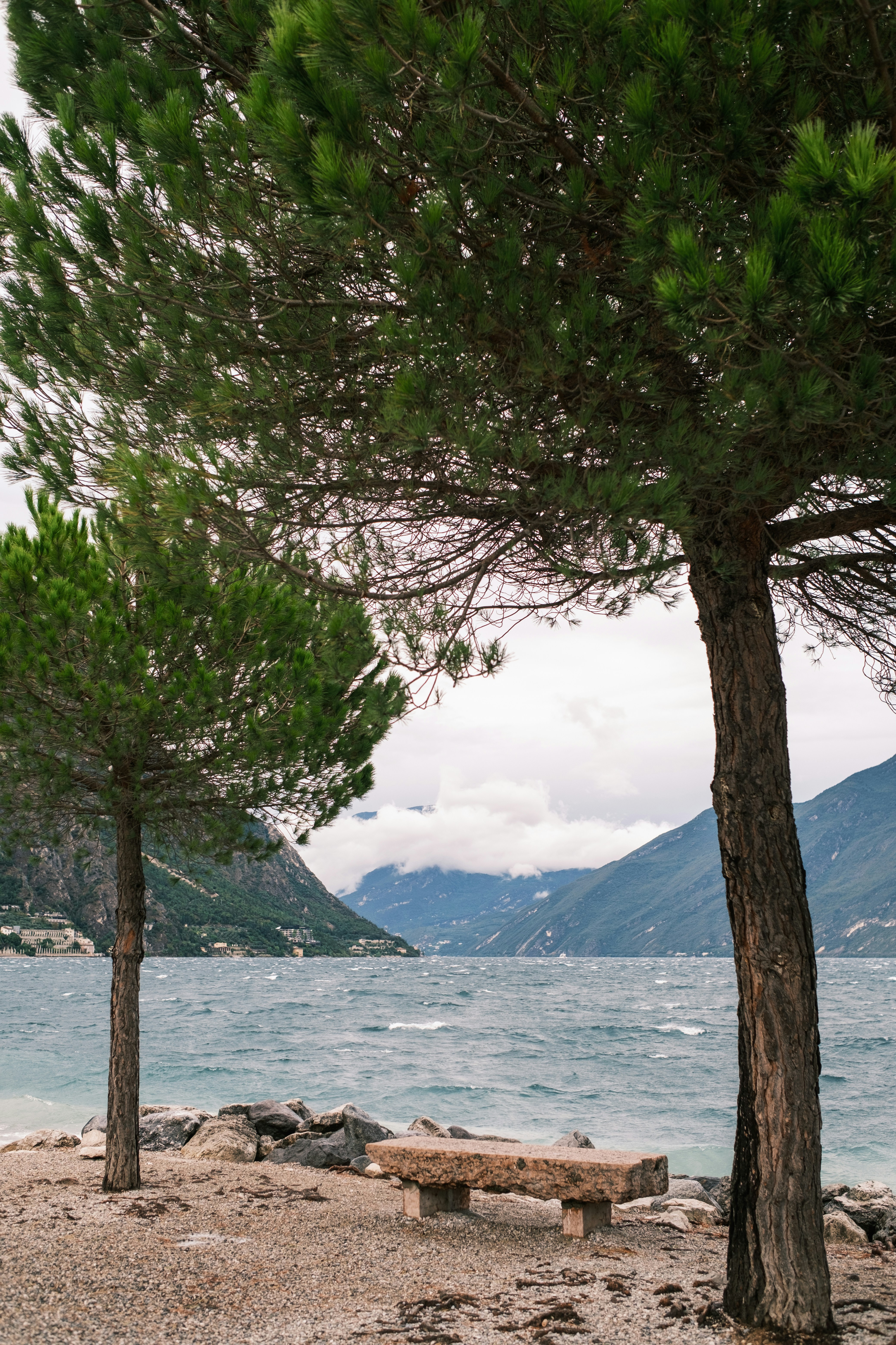 A stone bench between two pine trees overlooking a choppy lake and mountains