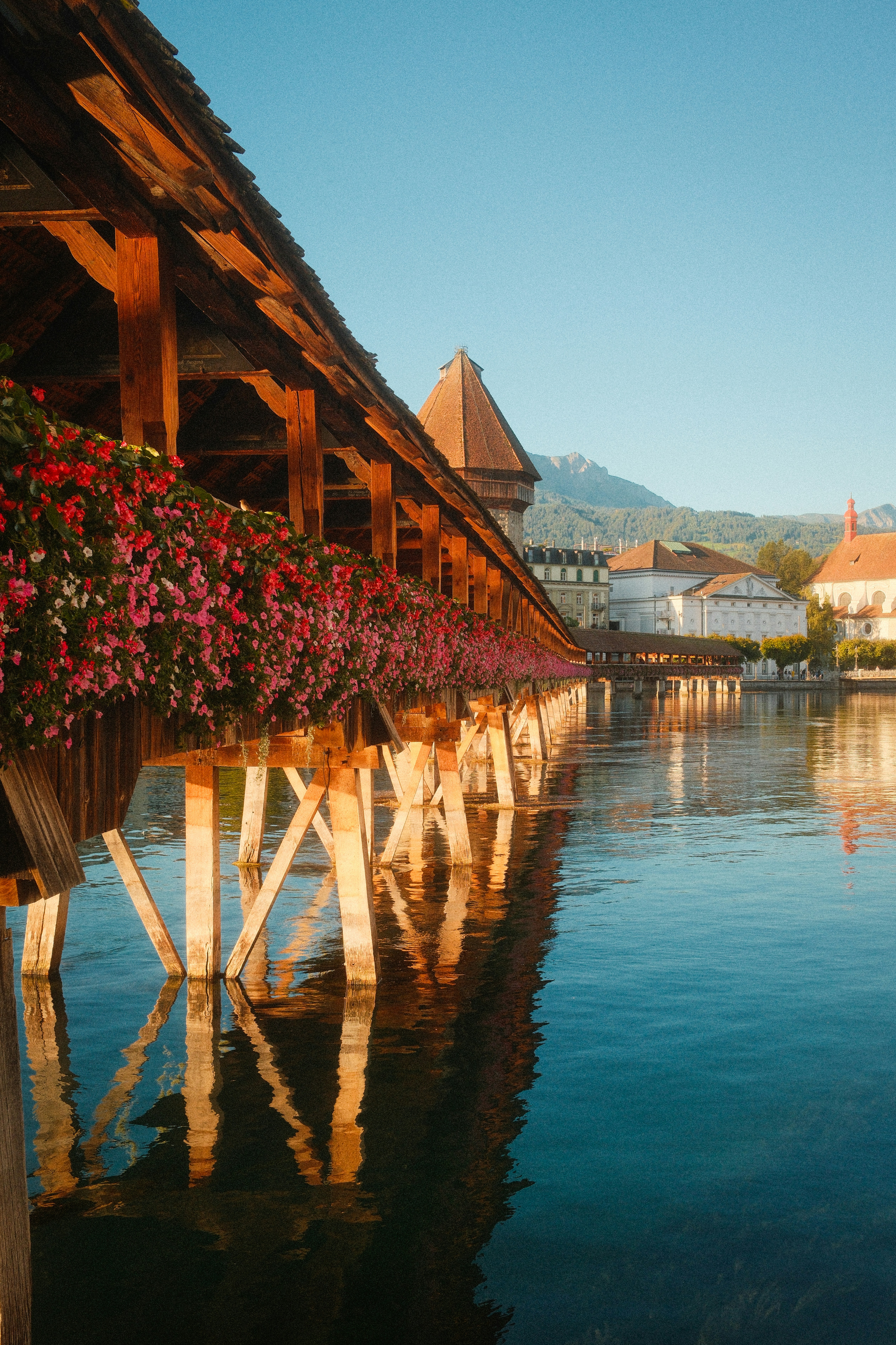 The Chapel Bridge with pink flowers over the Reuss river in Lucerne, Switzerland