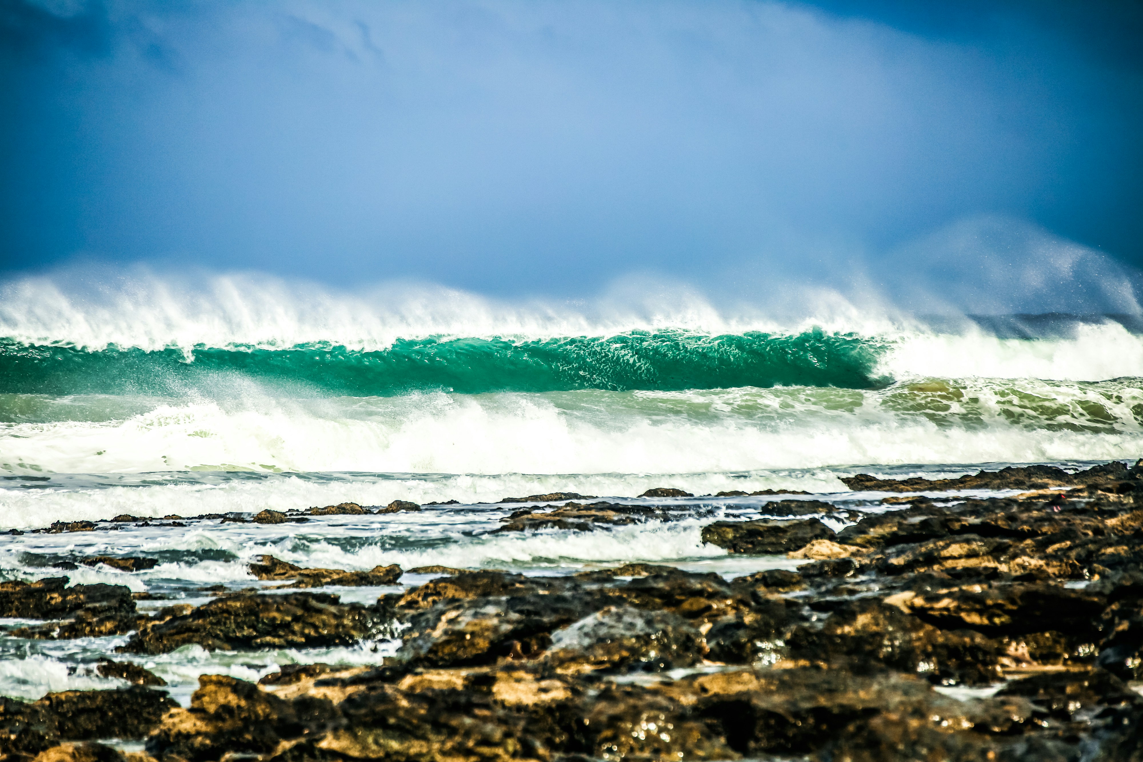 A large turquoise wave breaking over a dark rocky shoreline under a blue sky