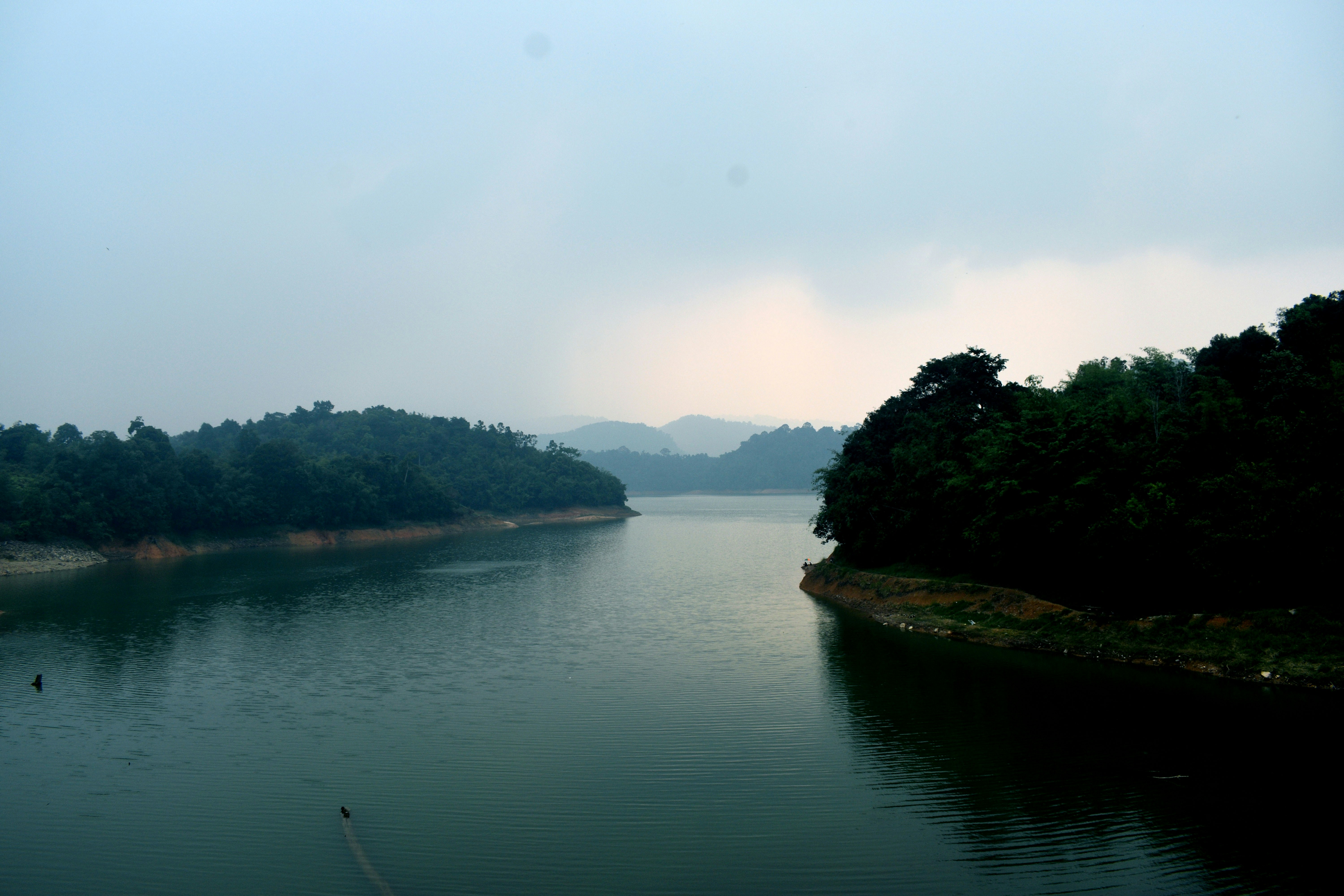 A calm lake surrounded by dense green forest under a soft overcast sky