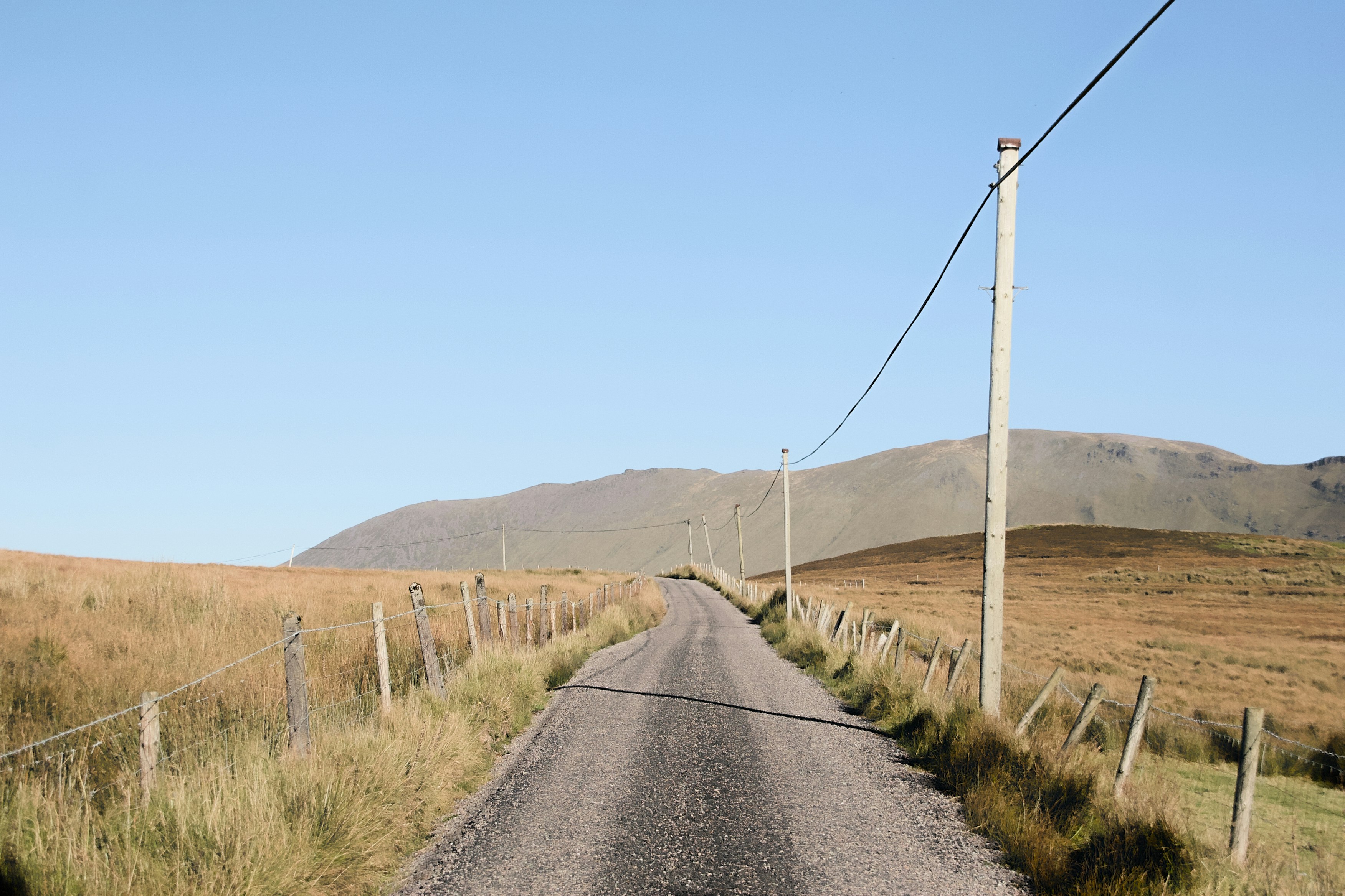 Au Chemin des 4 Pattes — Gerland