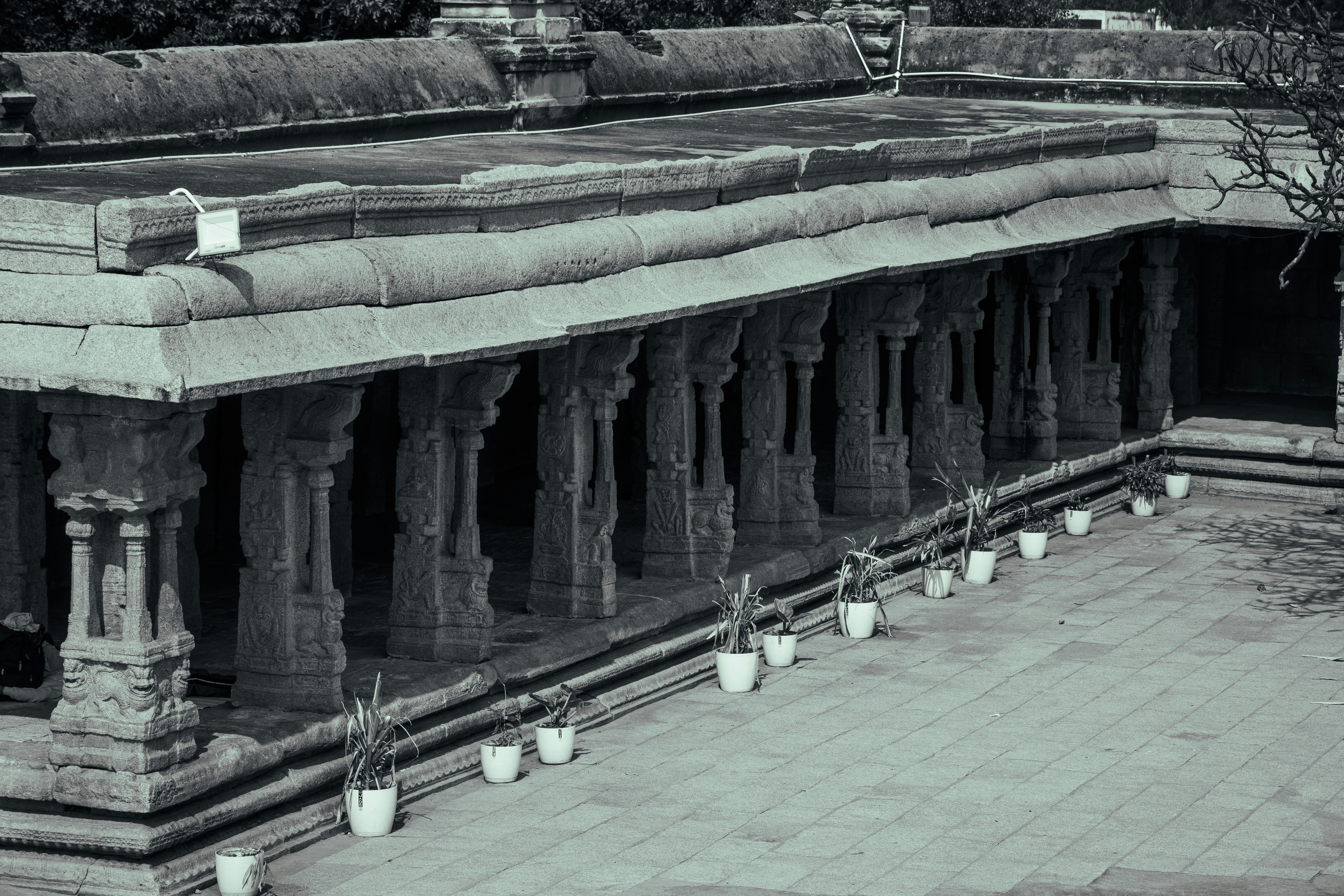 A row of potted plants along a stone colonnade with carved pillars
