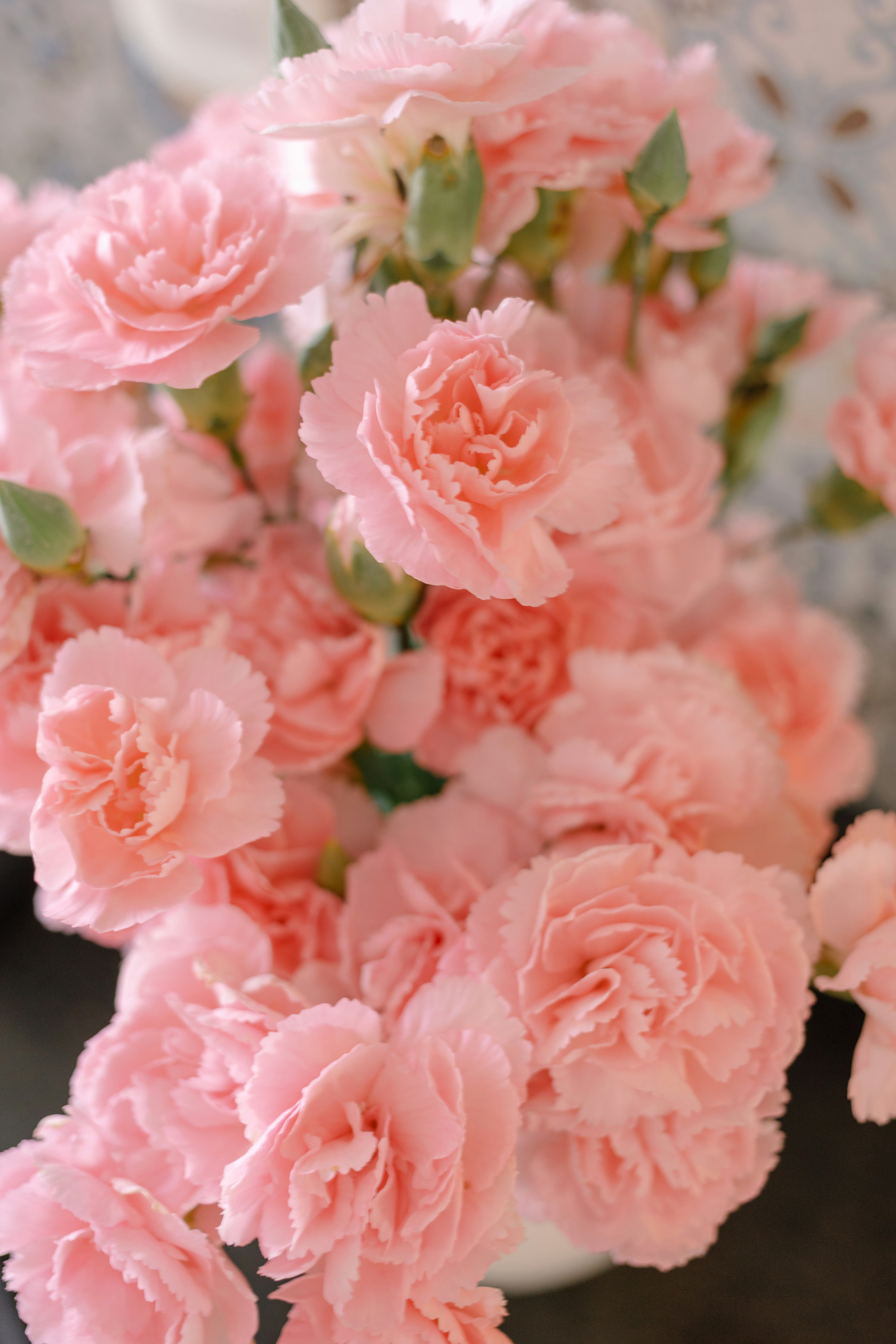 A dense bouquet of ruffled light pink carnations in soft natural light