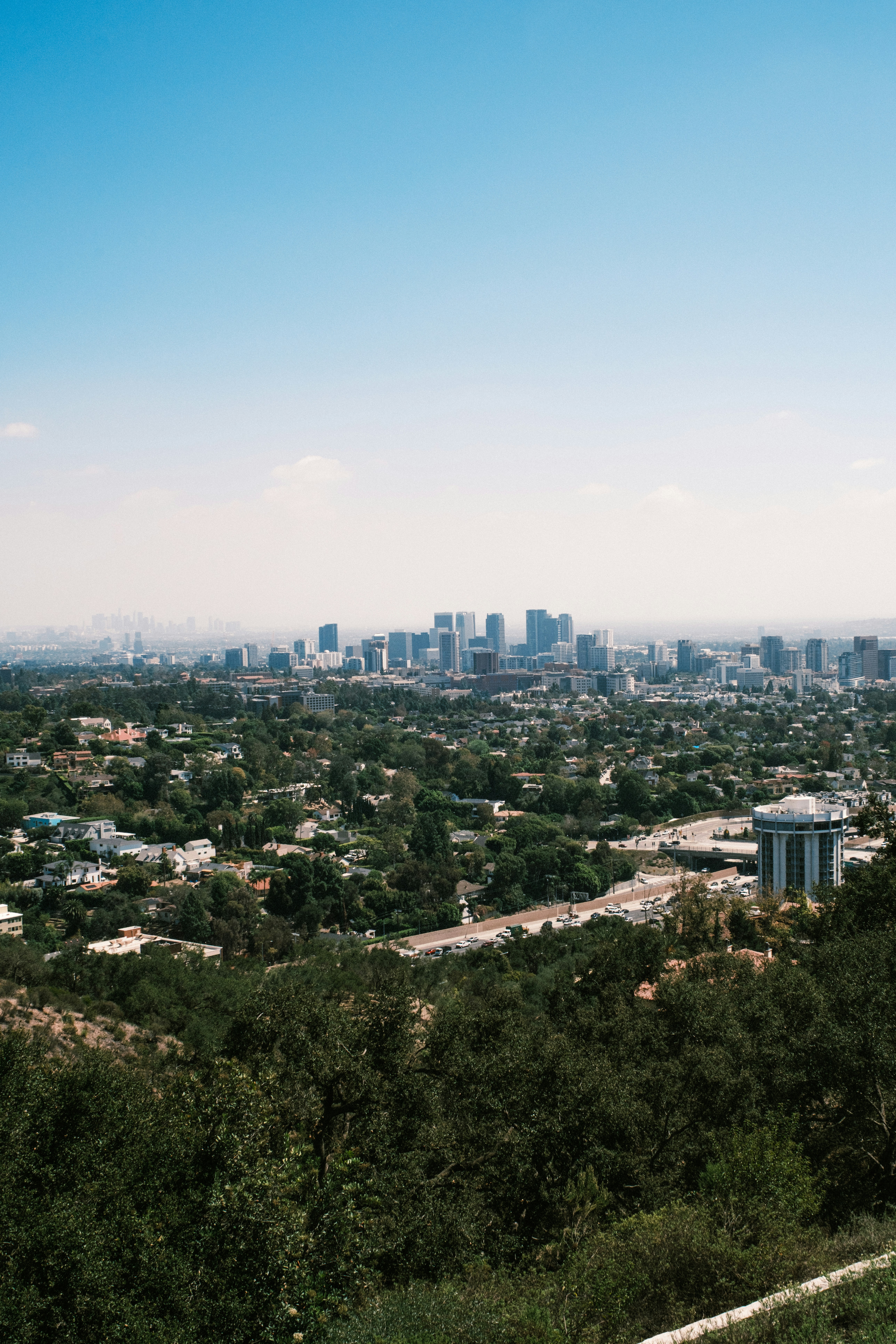 A distant city skyline rising above a dense green residential neighborhood