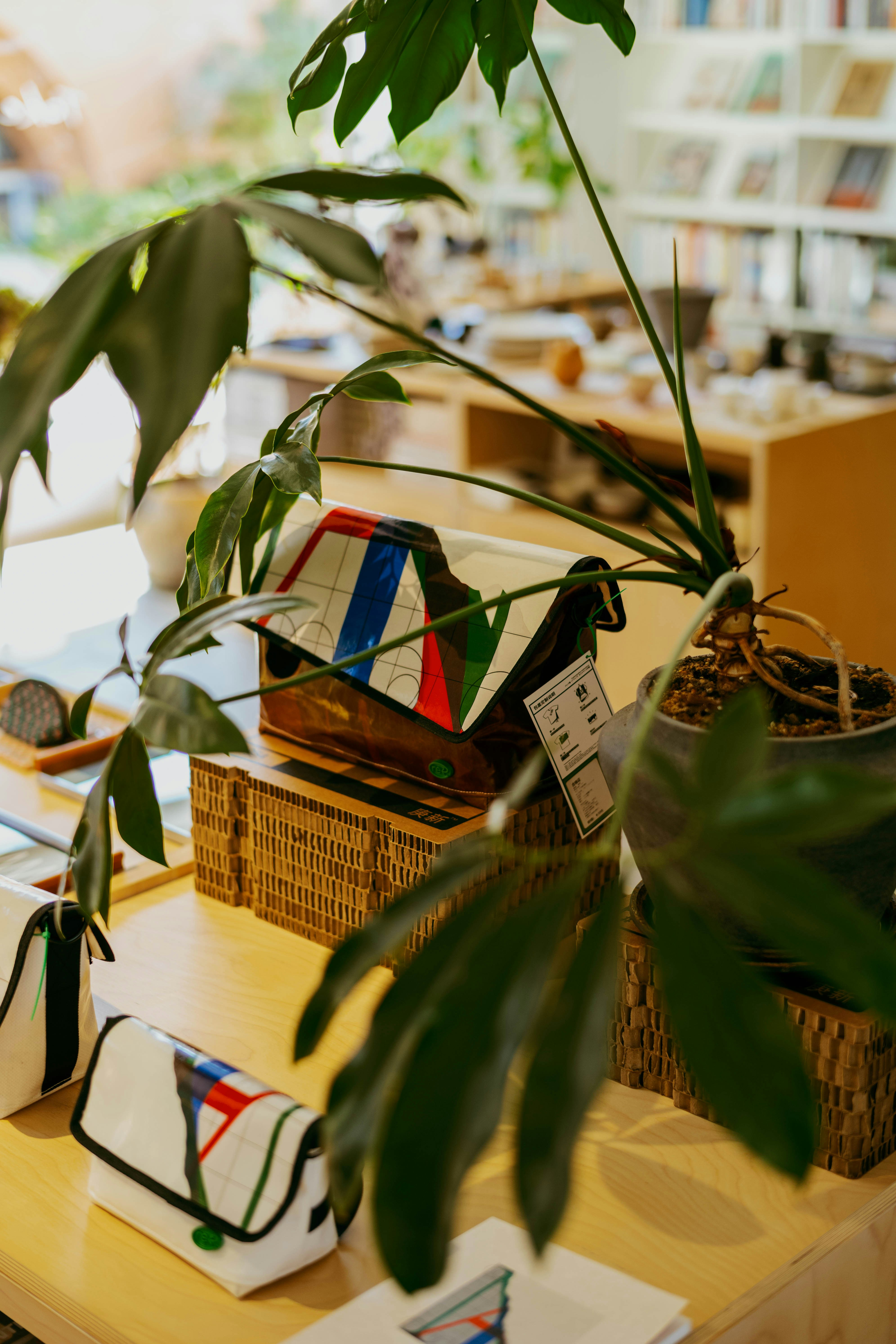 A patterned messenger bag on a cardboard stand beside a potted plant