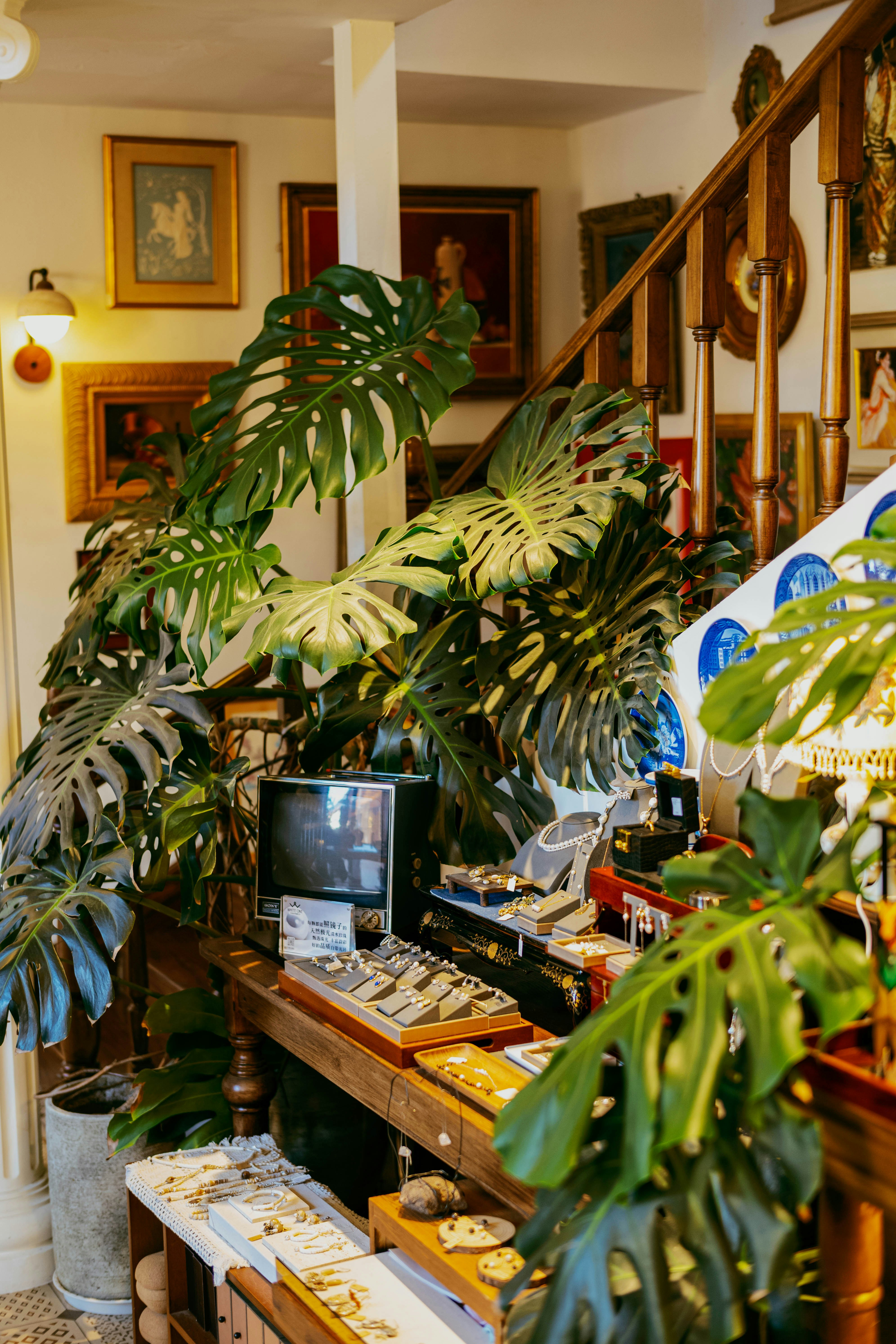Jewelry displayed on a wooden table surrounded by large monstera leaves near a staircase