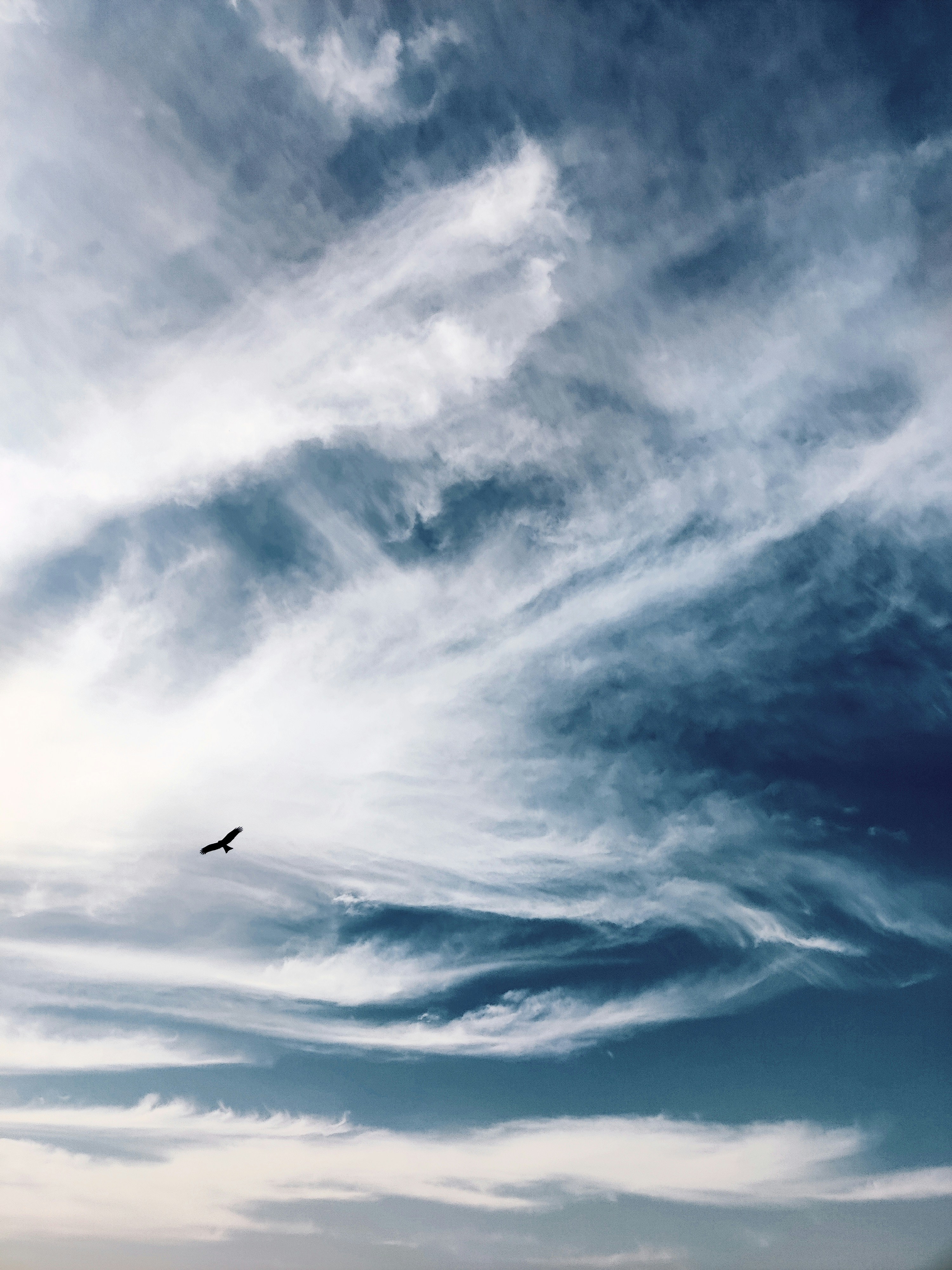 A bird flying through a vast sky filled with swirling white clouds