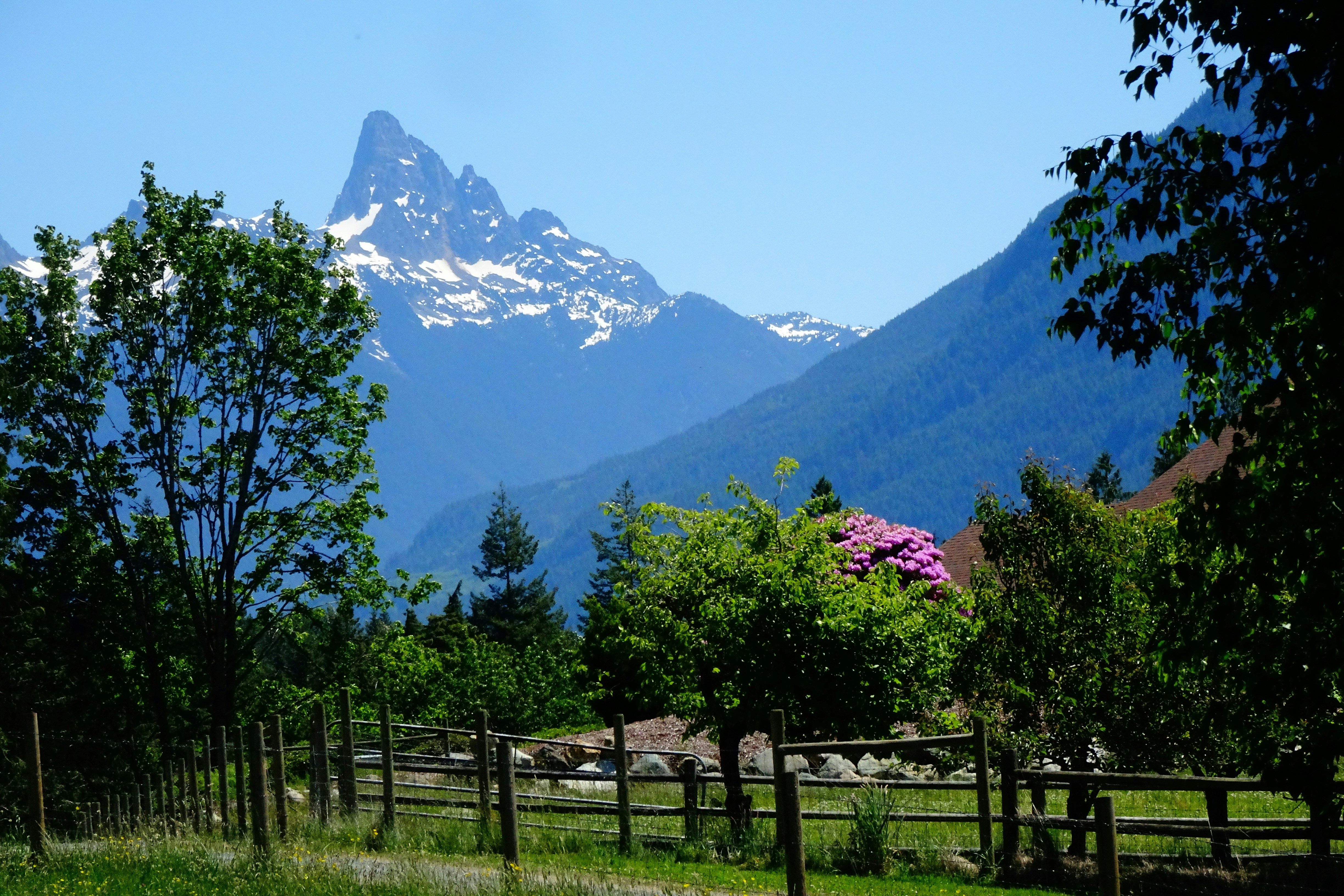 A wooden fence in a green meadow before snow-capped mountains under a clear sky