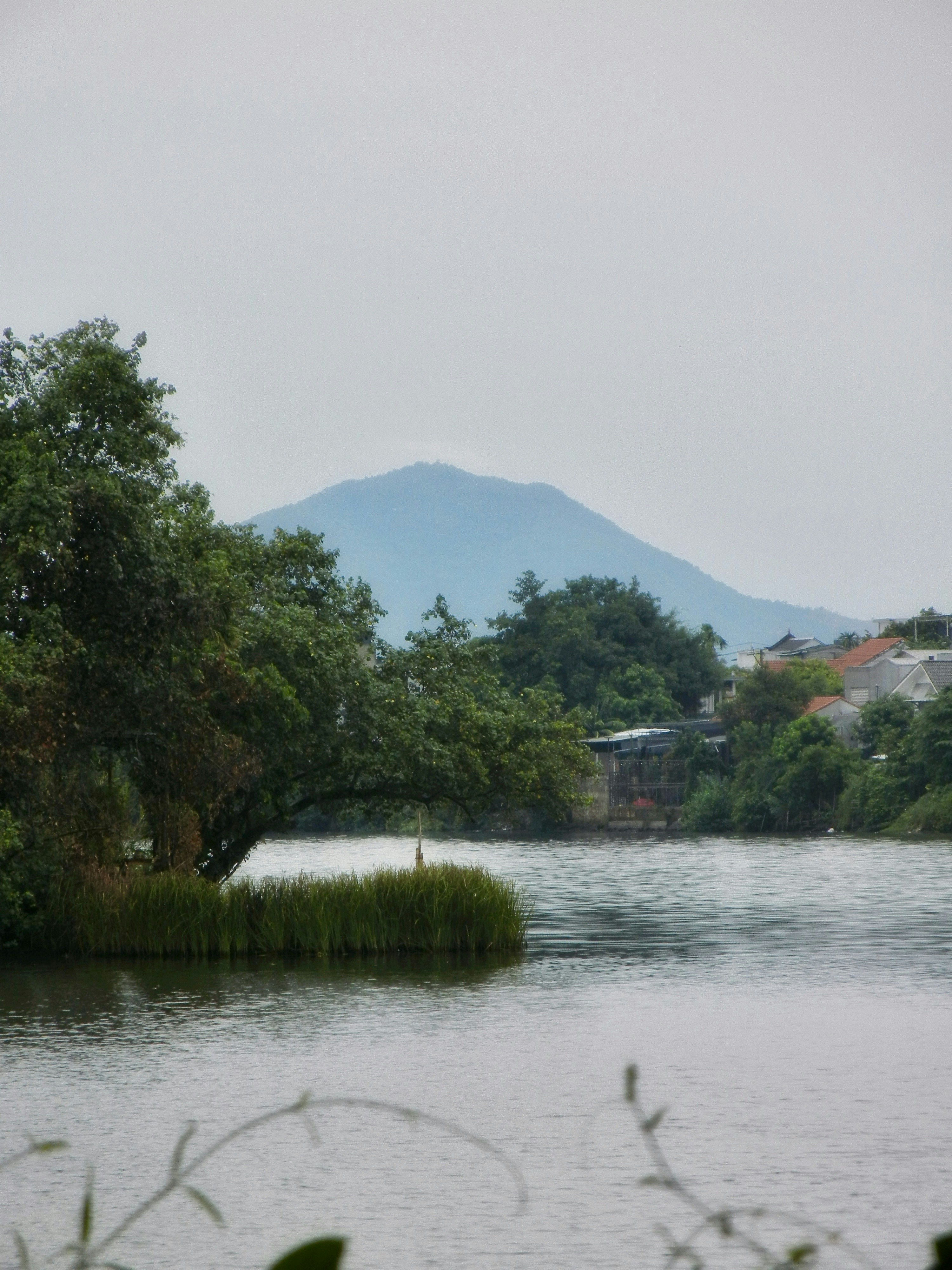 Sungai tenang mengalir melewati tepi berumput dengan pepohonan dan gunung yang jauh