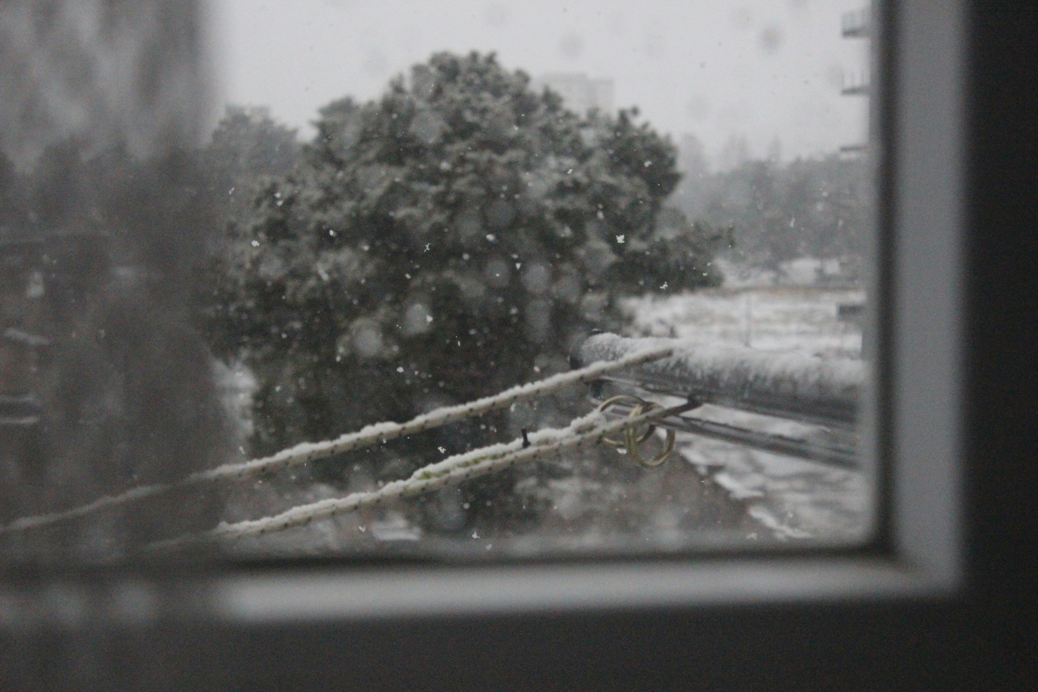 La nieve caía fuera de una ventana más allá de una barandilla metálica con dos anillos