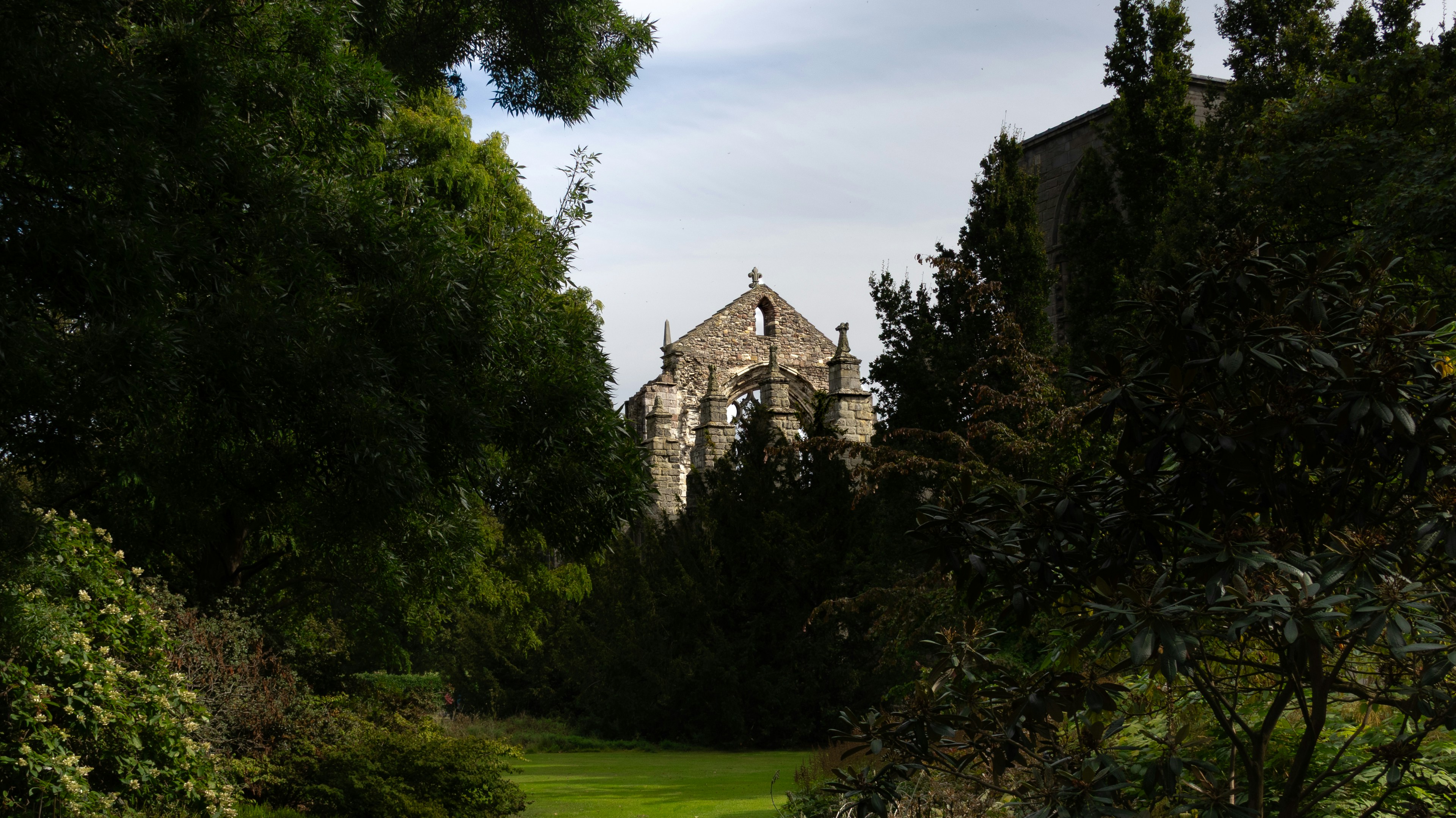 Stone ruins of a gothic church framed by lush green trees and shrubs