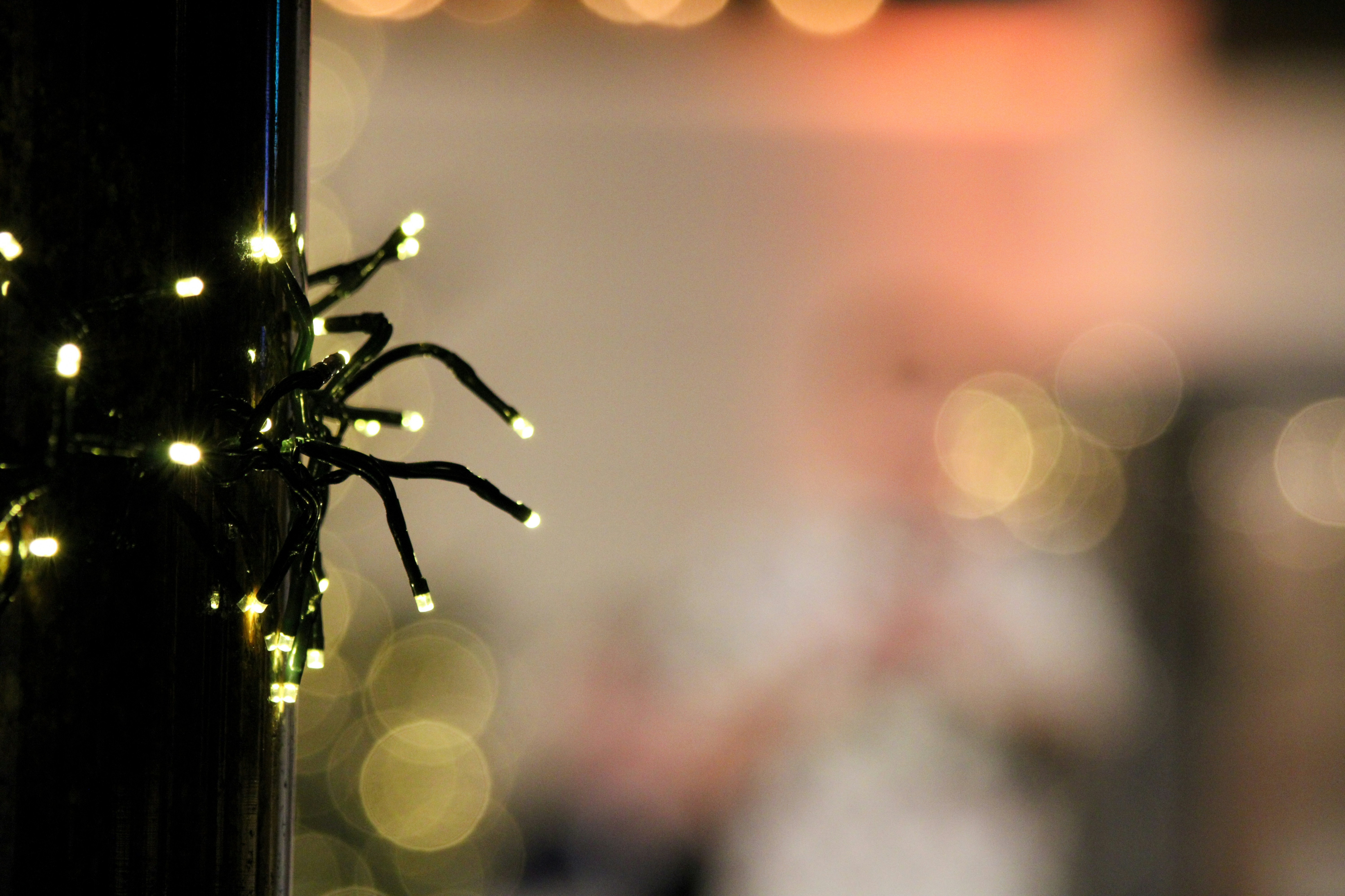 Small glowing fairy lights wrapped around a dark pole with a blurred background