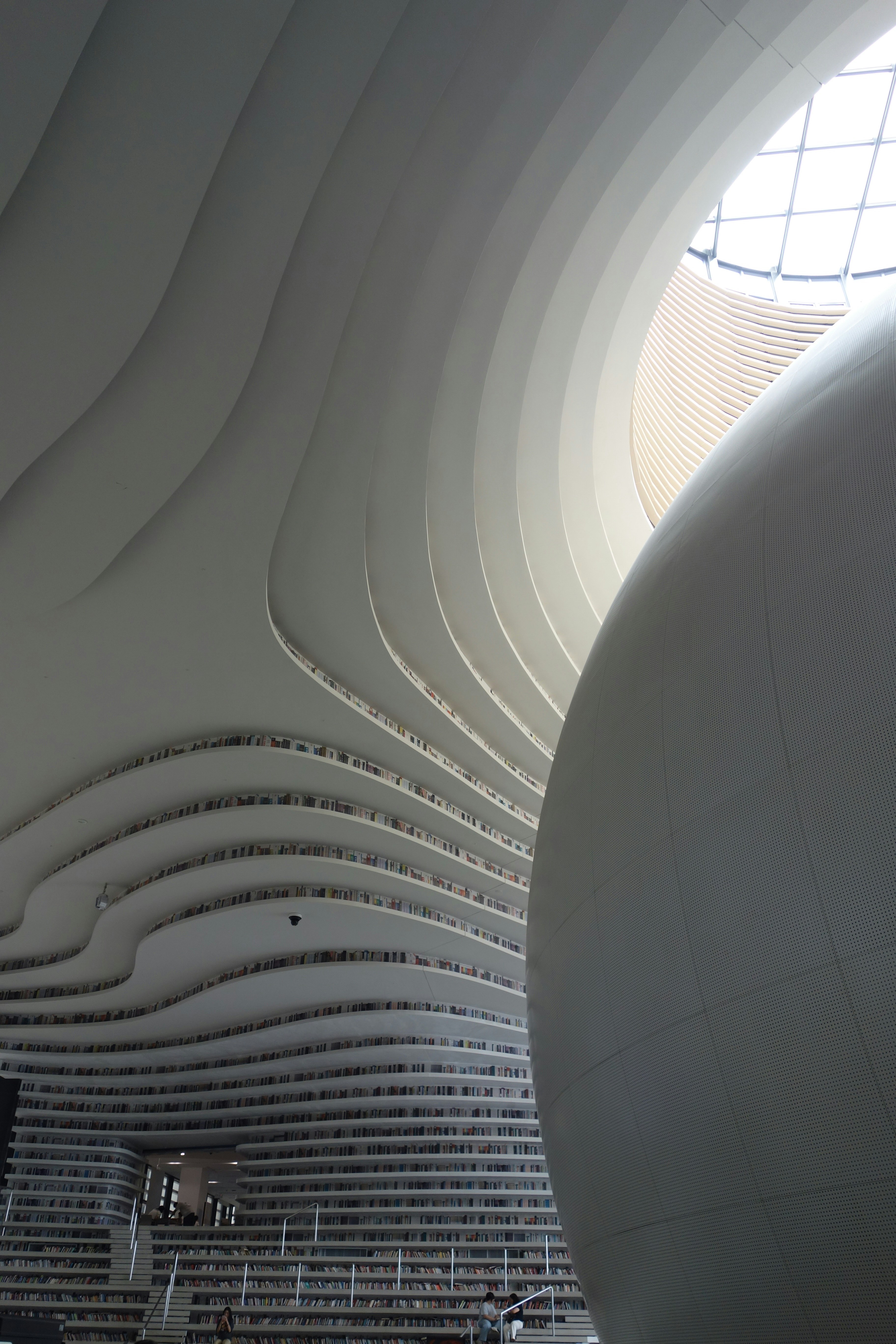 Curved white architectural shelves filled with books beneath a large round skylight