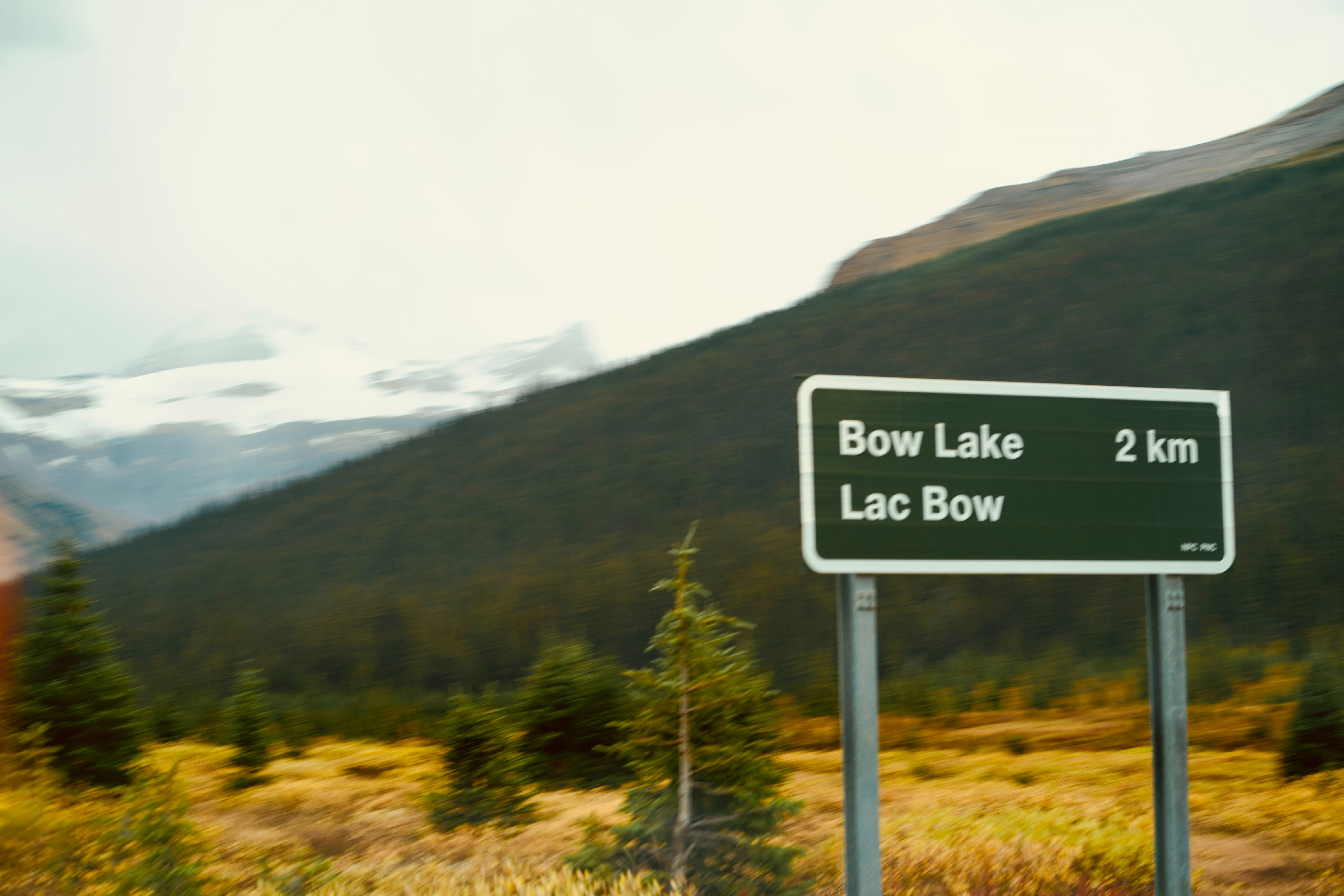 A green road sign reading Bow Lake 2 km in a mountain landscape