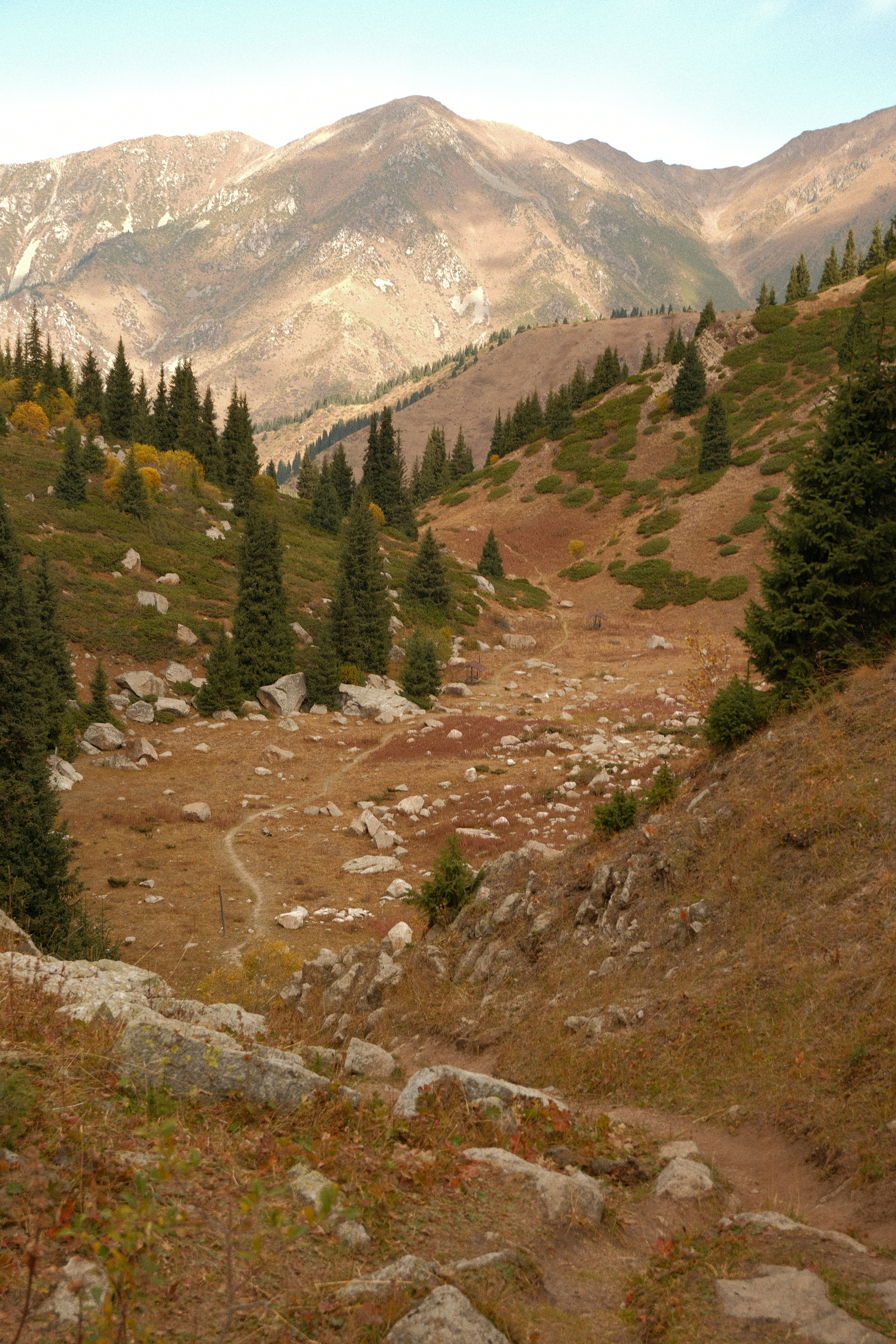 A narrow dirt trail winding through a rocky valley with evergreen trees
