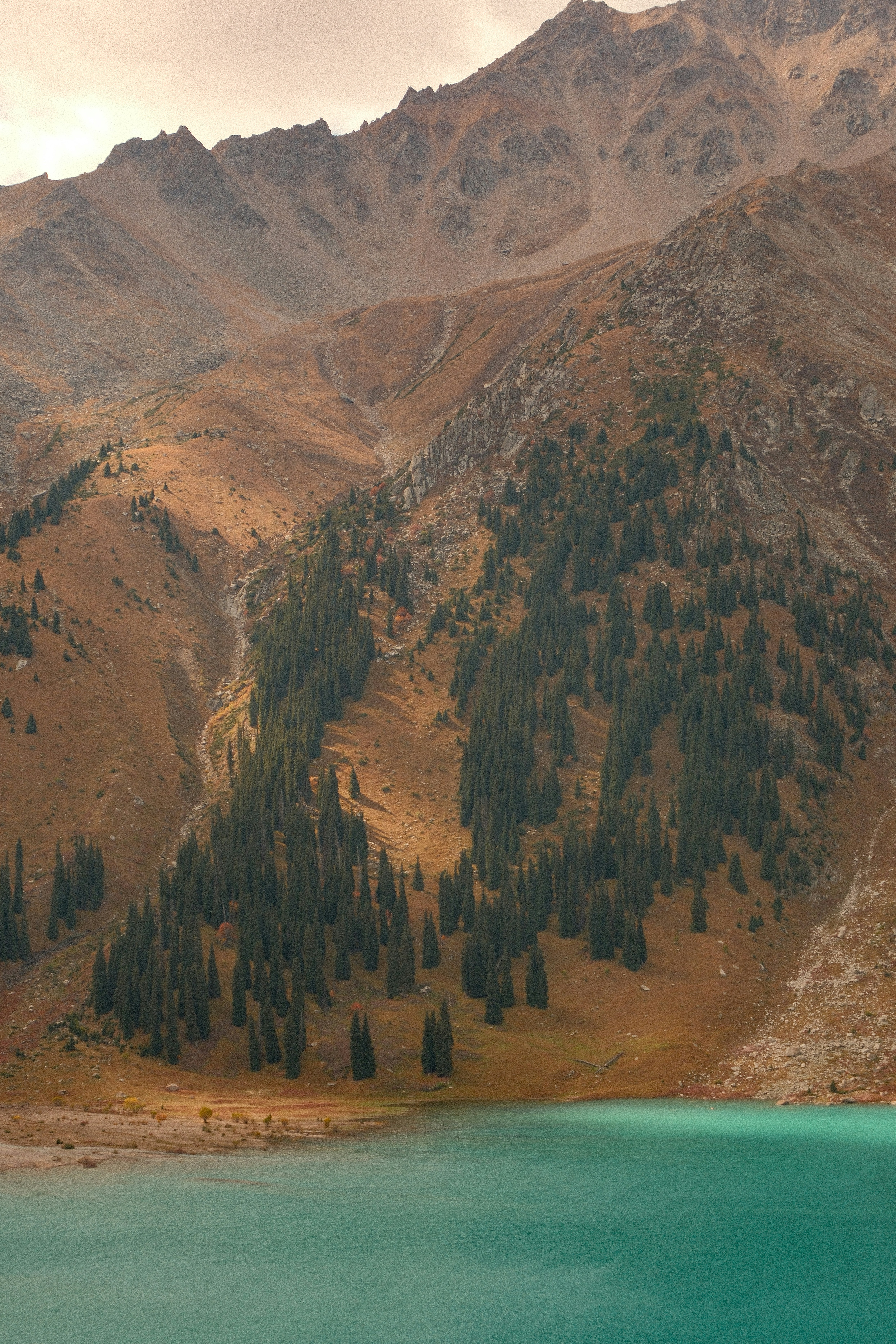 A turquoise lake below a steep mountain slope with scattered evergreen trees