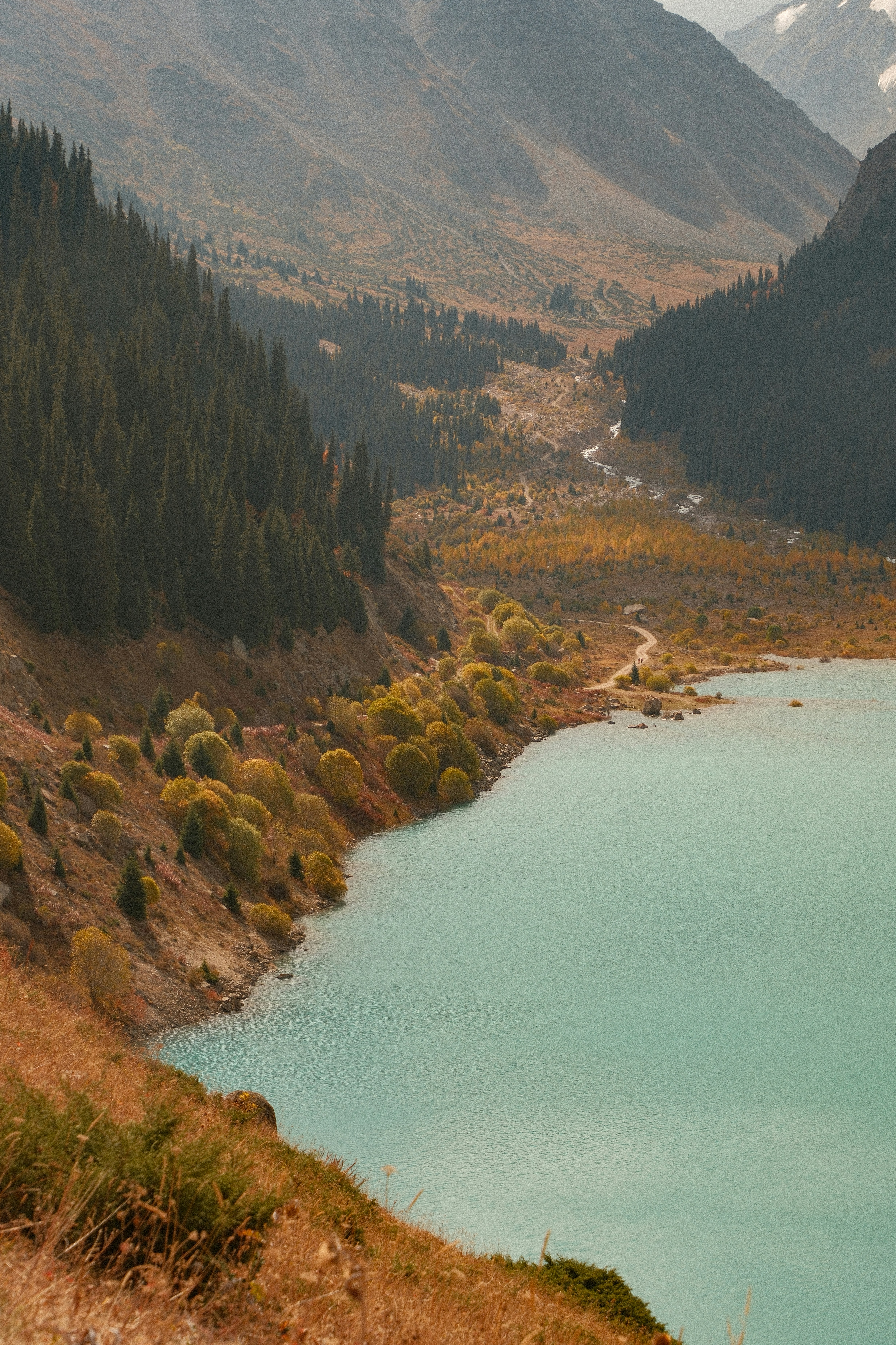 A turquoise lake surrounded by pine forests and autumn trees in a mountain valley