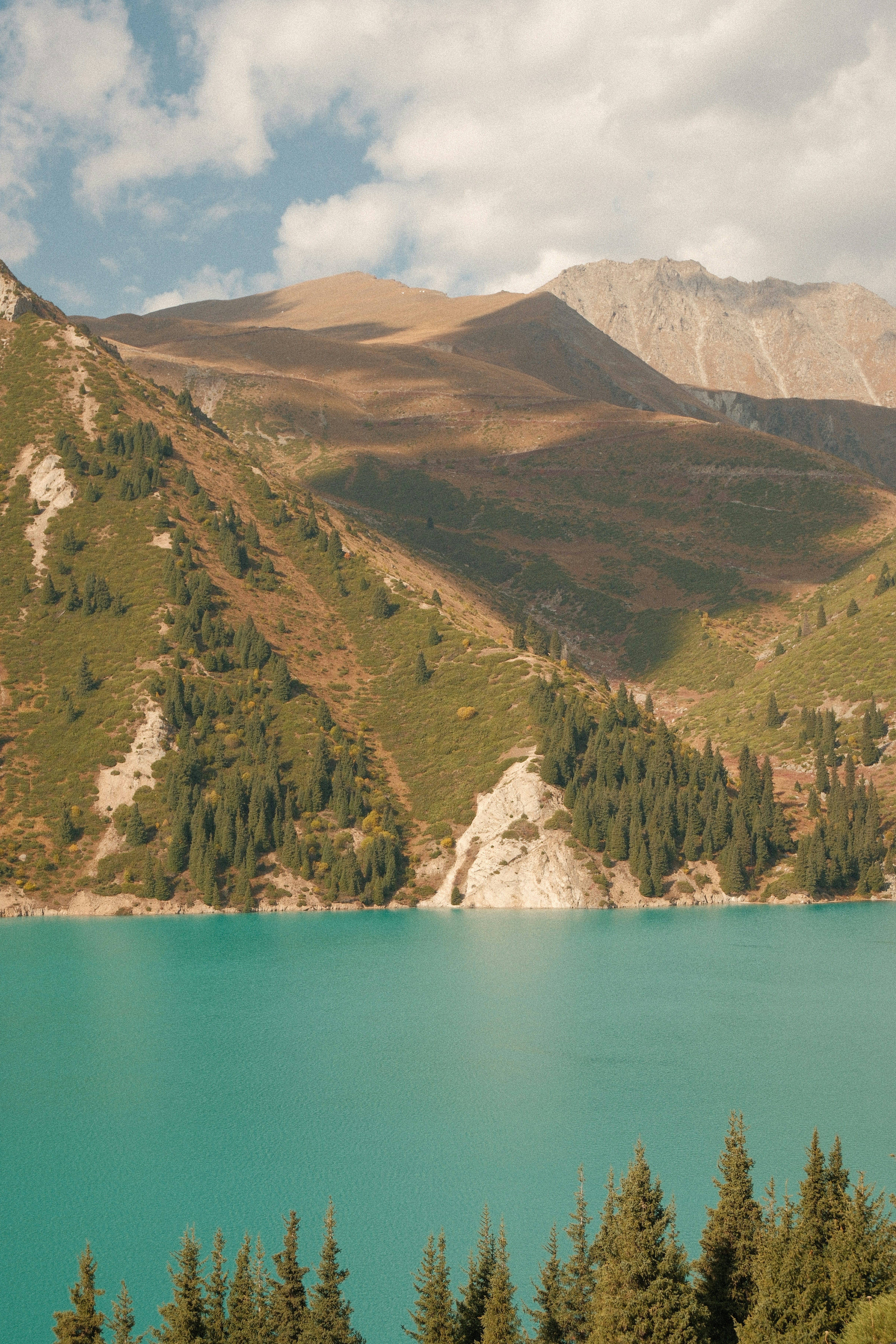 A turquoise lake below green mountain slopes with scattered pine trees