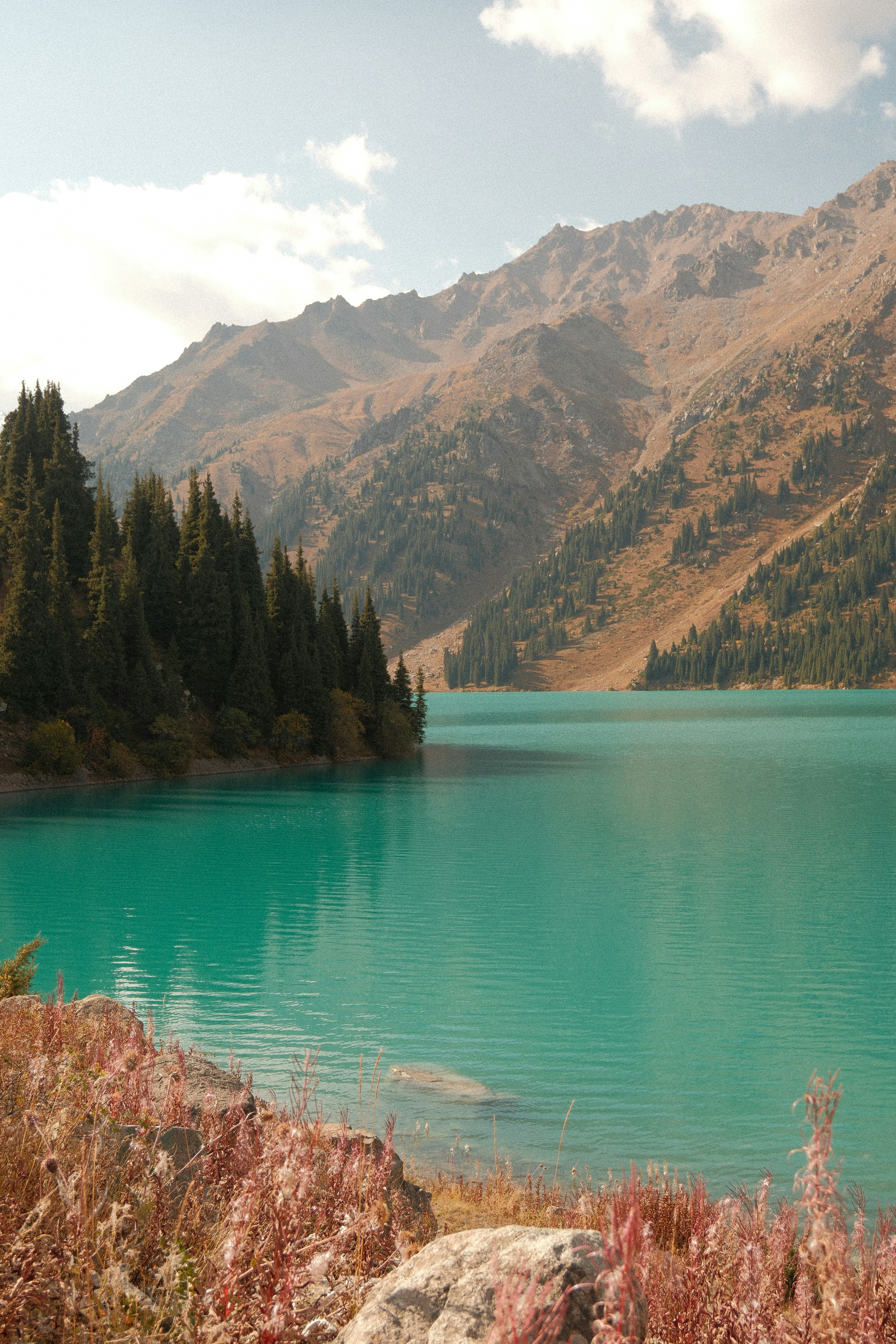 Turquoise lake water reflecting mountains with pine trees and dry autumn grasses