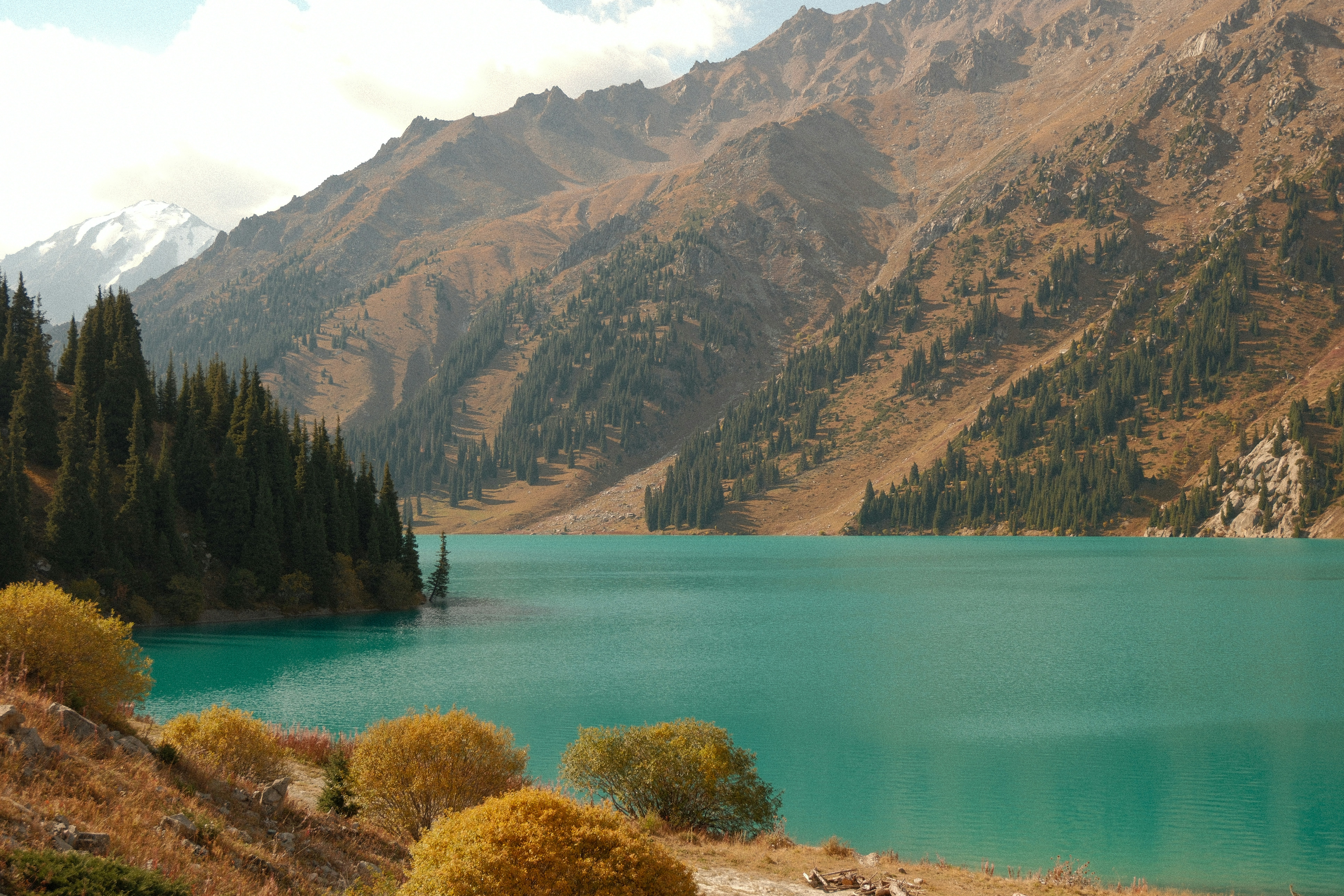 A turquoise alpine lake surrounded by coniferous trees and steep brown mountain slopes