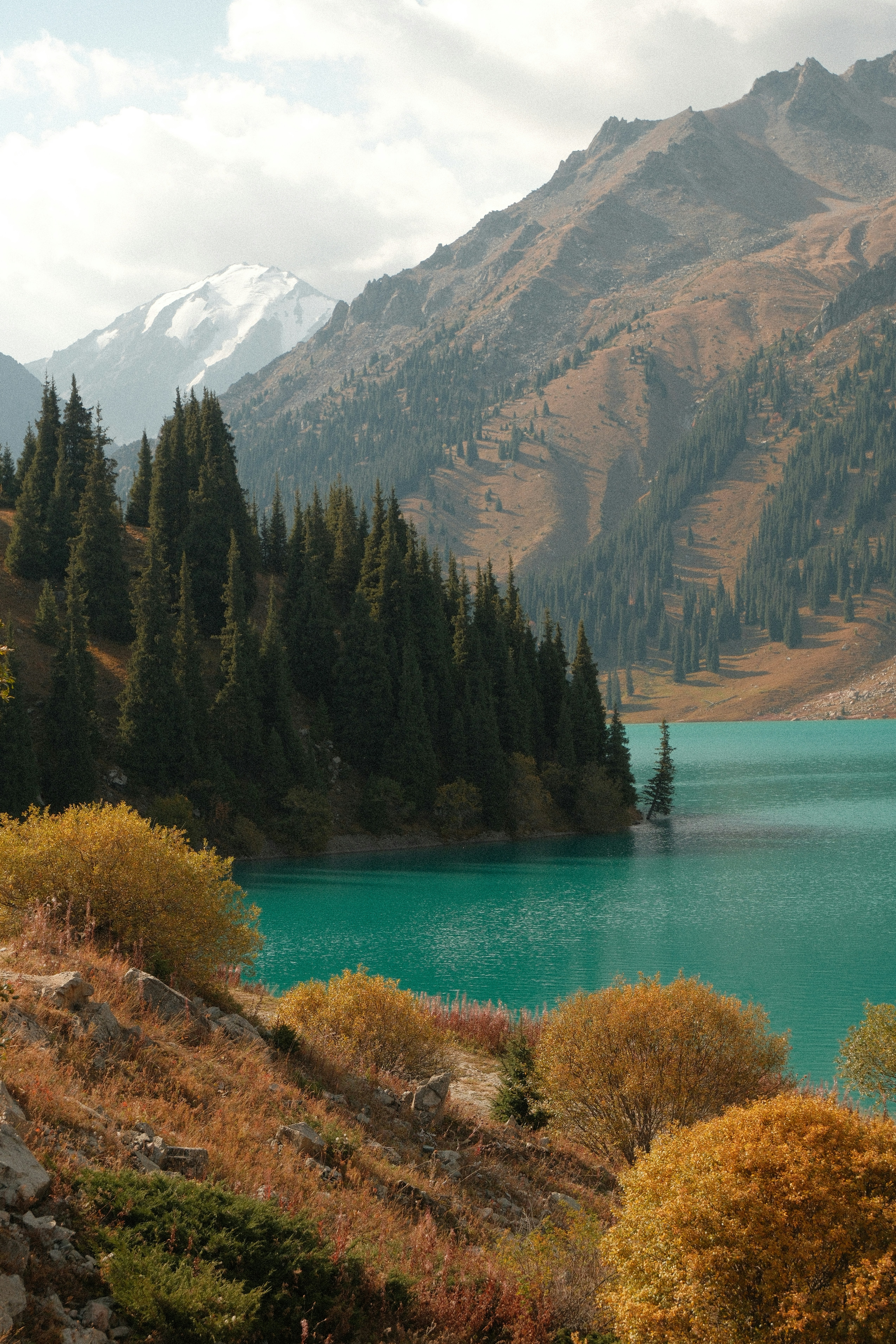 A turquoise alpine lake surrounded by evergreen trees and rugged mountain slopes