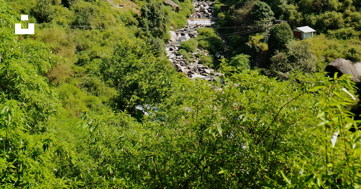 Rocky Stream Vector Rocky stream in green mountain valley - Free Photo on Unsplash